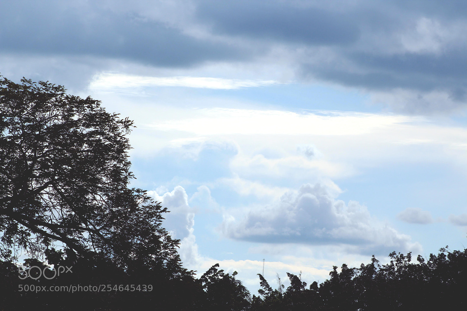 Canon EF 75-300mm f/4-5.6 sample photo. Céu claro photography