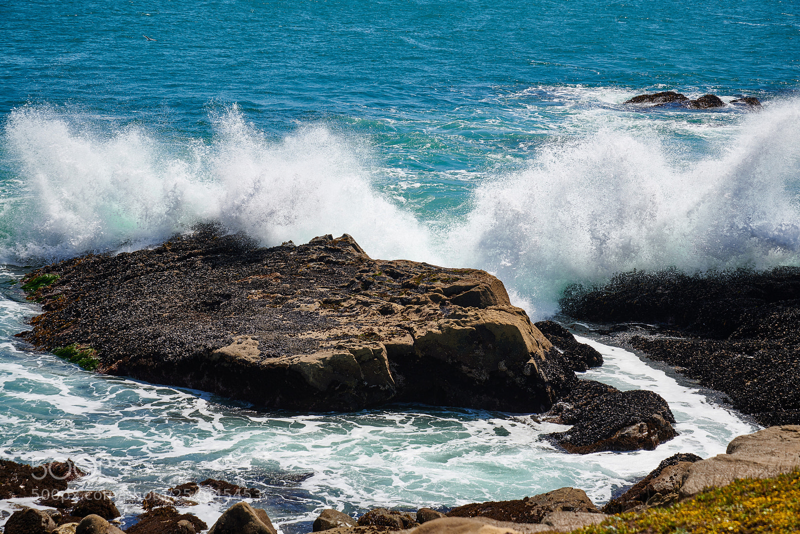 Nikon D850 sample photo. Surf on the rocks photography