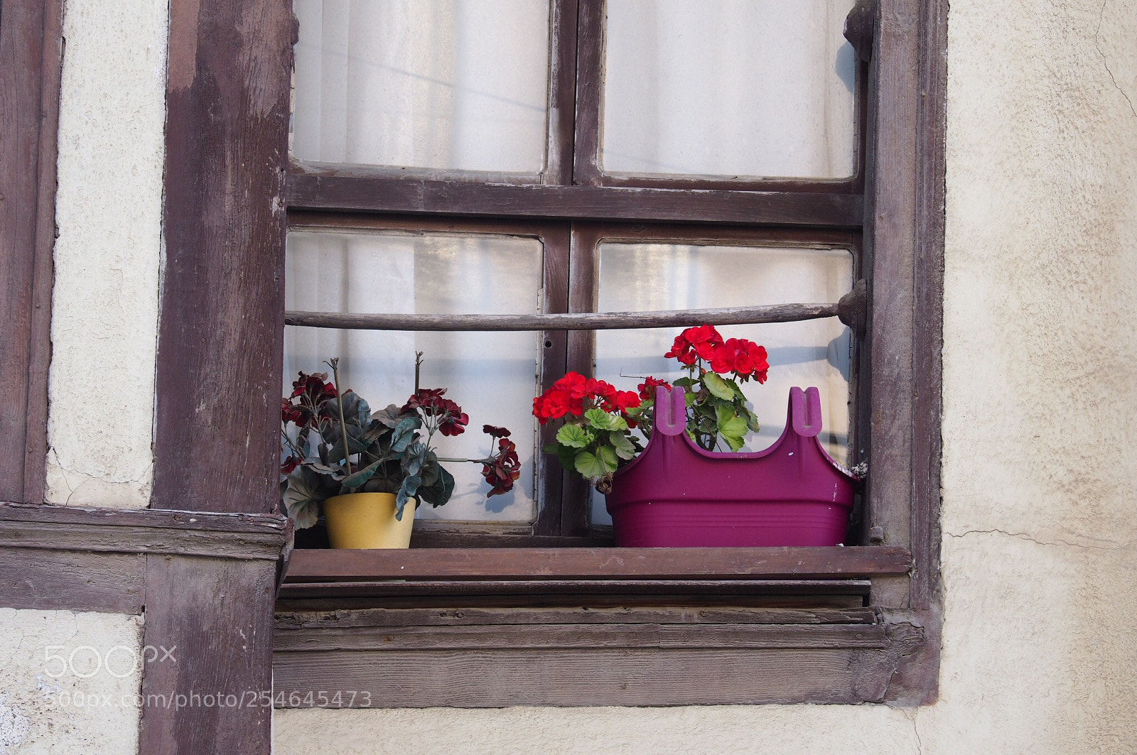 Olympus OM-D E-M1 Mark II sample photo. Window  photography