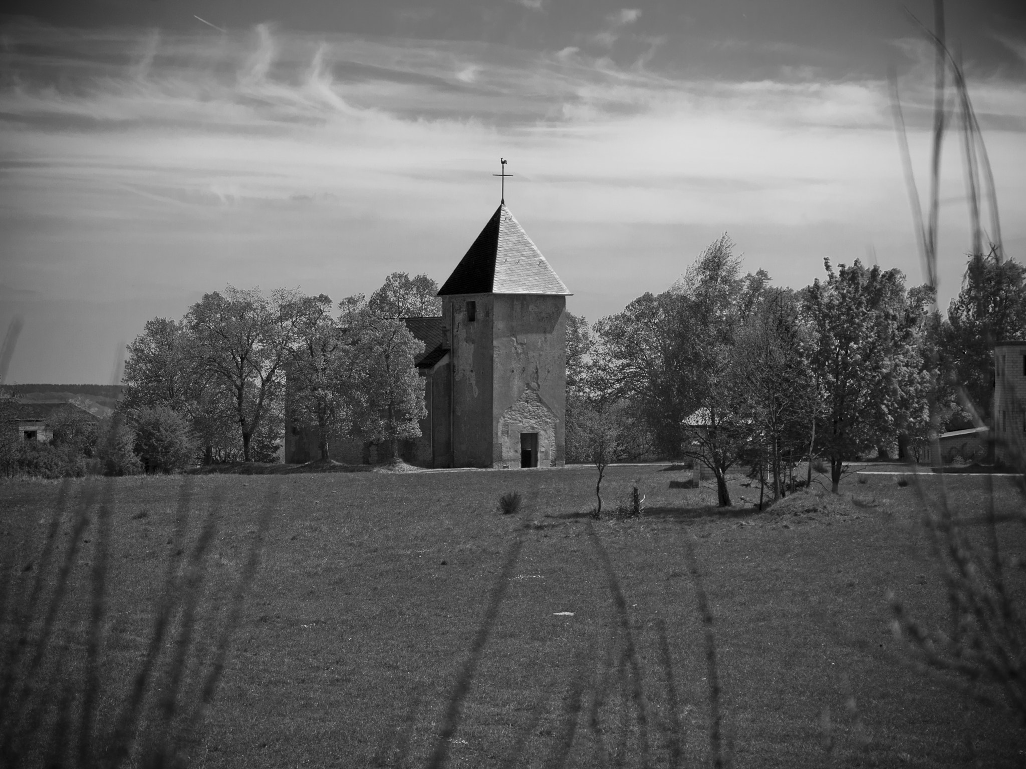 Olympus E-450 (EVOLT E-450) sample photo. Wollseifen photography