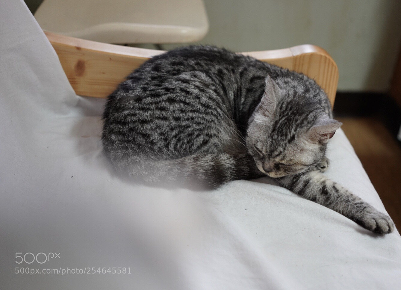 Sony a9 sample photo. Untitled photography