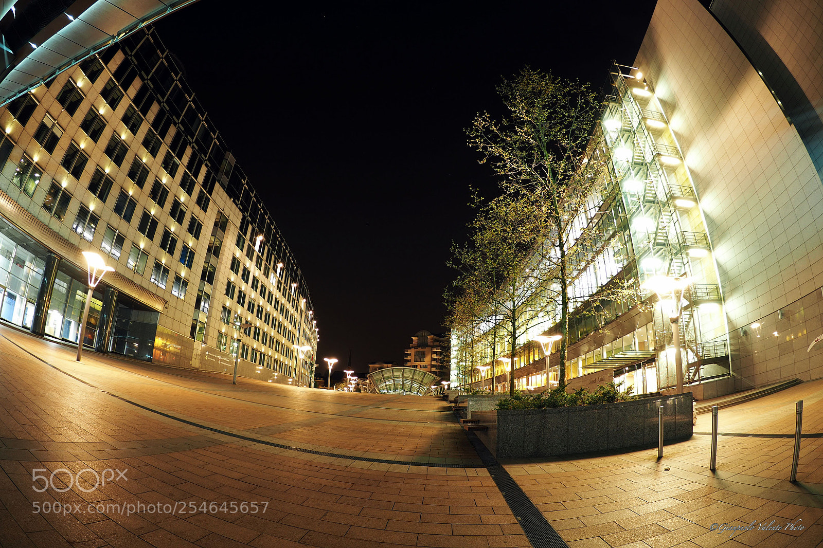 Olympus OM-D E-M5 II sample photo. Parlamento europeo photography
