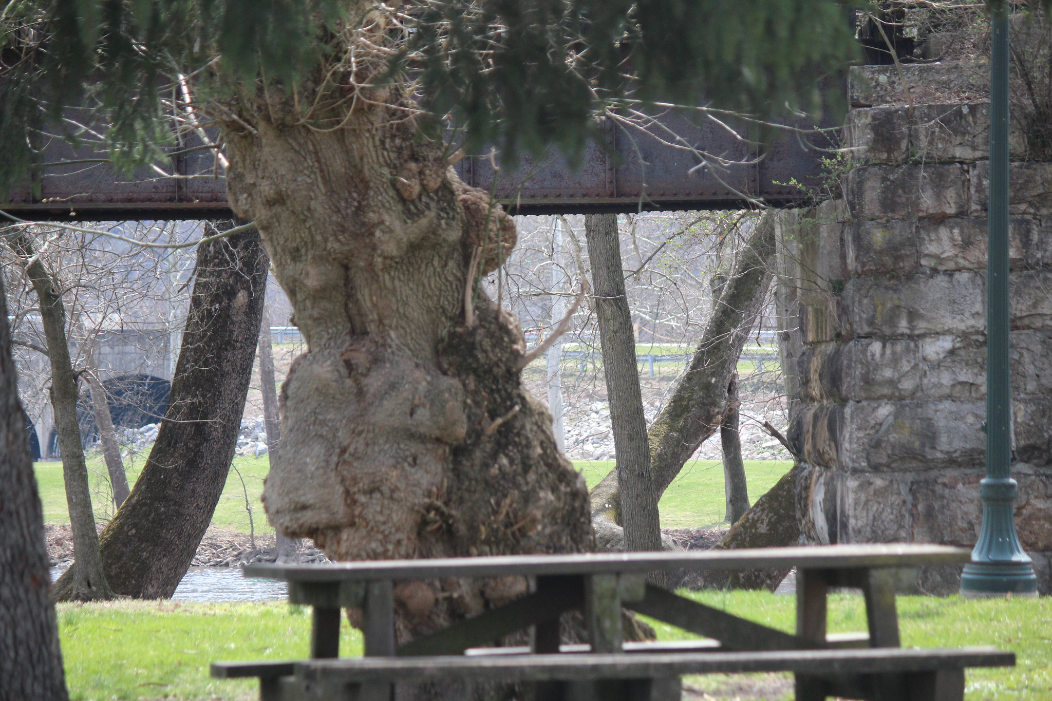 Canon EF-S 55-250mm F4-5.6 IS sample photo. Img photography