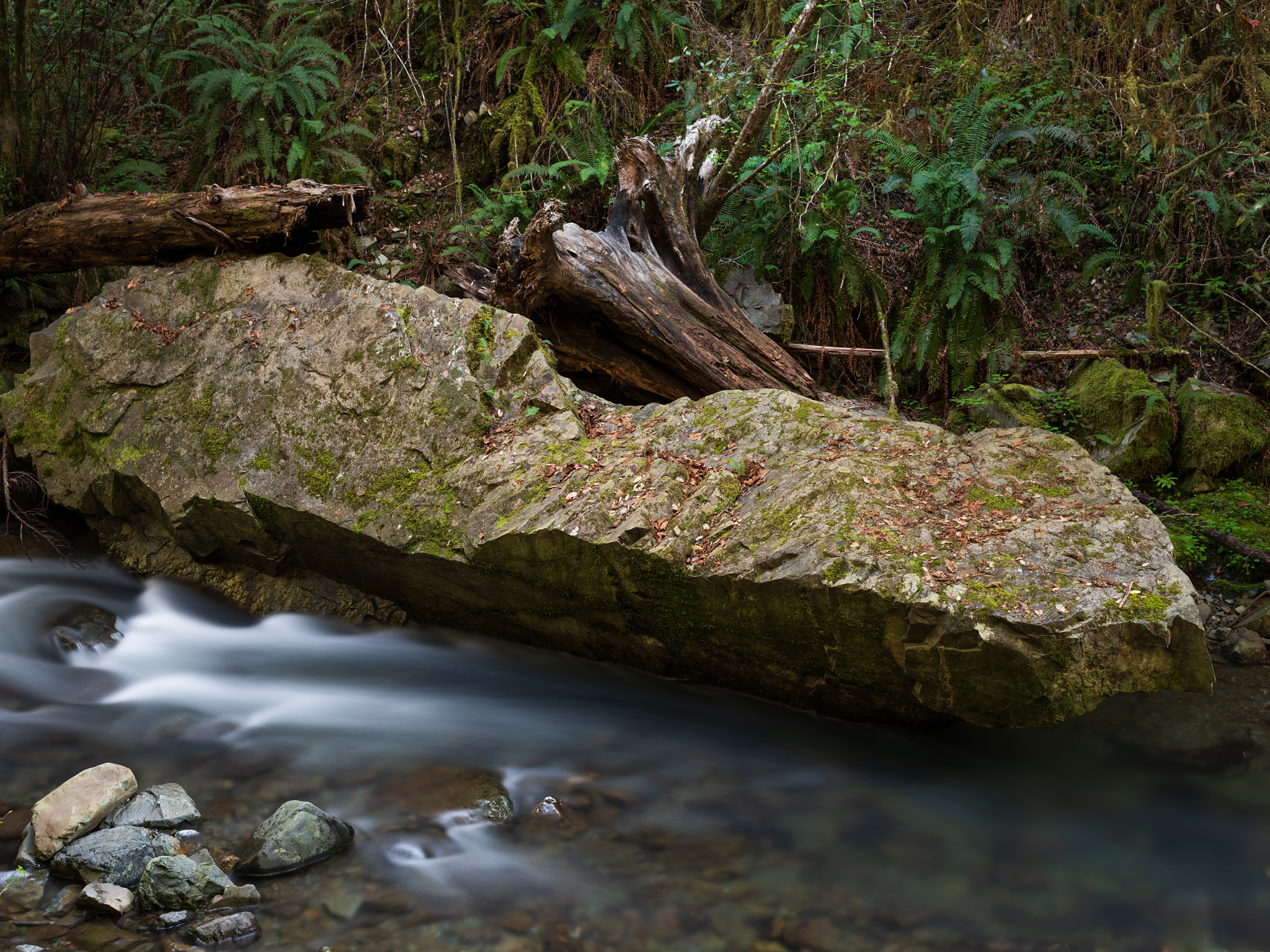 Pentax 645Z sample photo. Myrtle creek photography