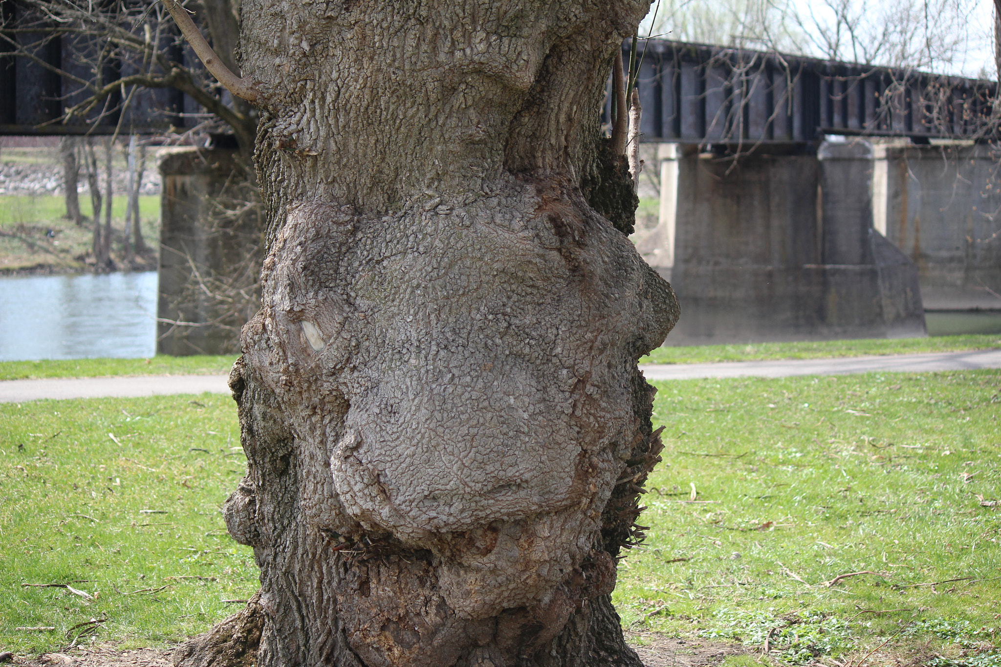 Canon EF-S 55-250mm F4-5.6 IS sample photo. Img photography