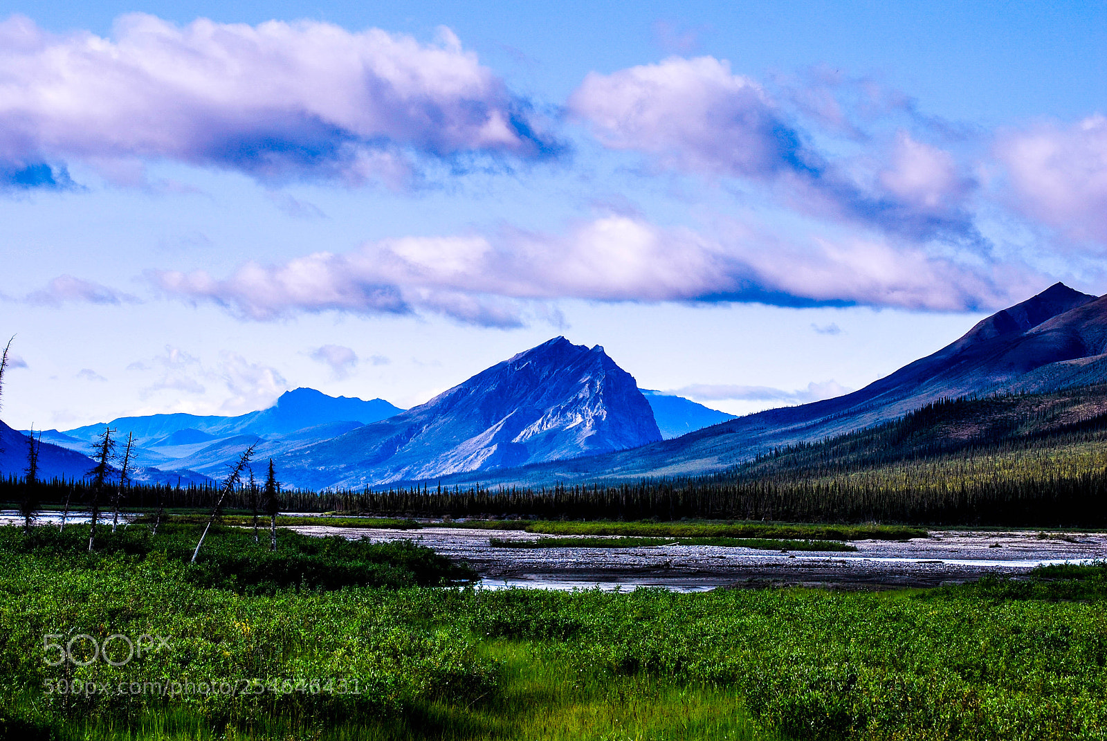 Nikon D60 sample photo. Gold mountain photography