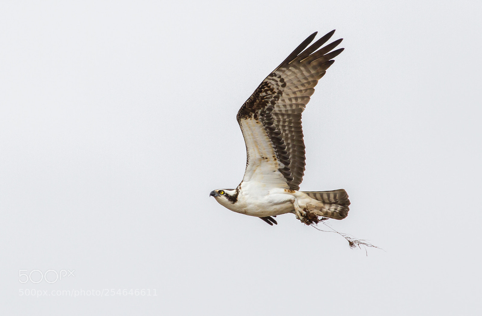 Canon EOS 7D sample photo. Flying in to fix photography