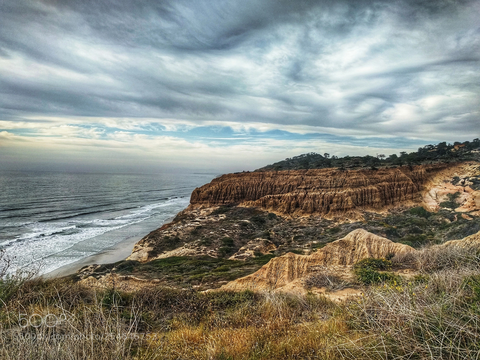 LG Nexus 5X sample photo. Torrey pines photography