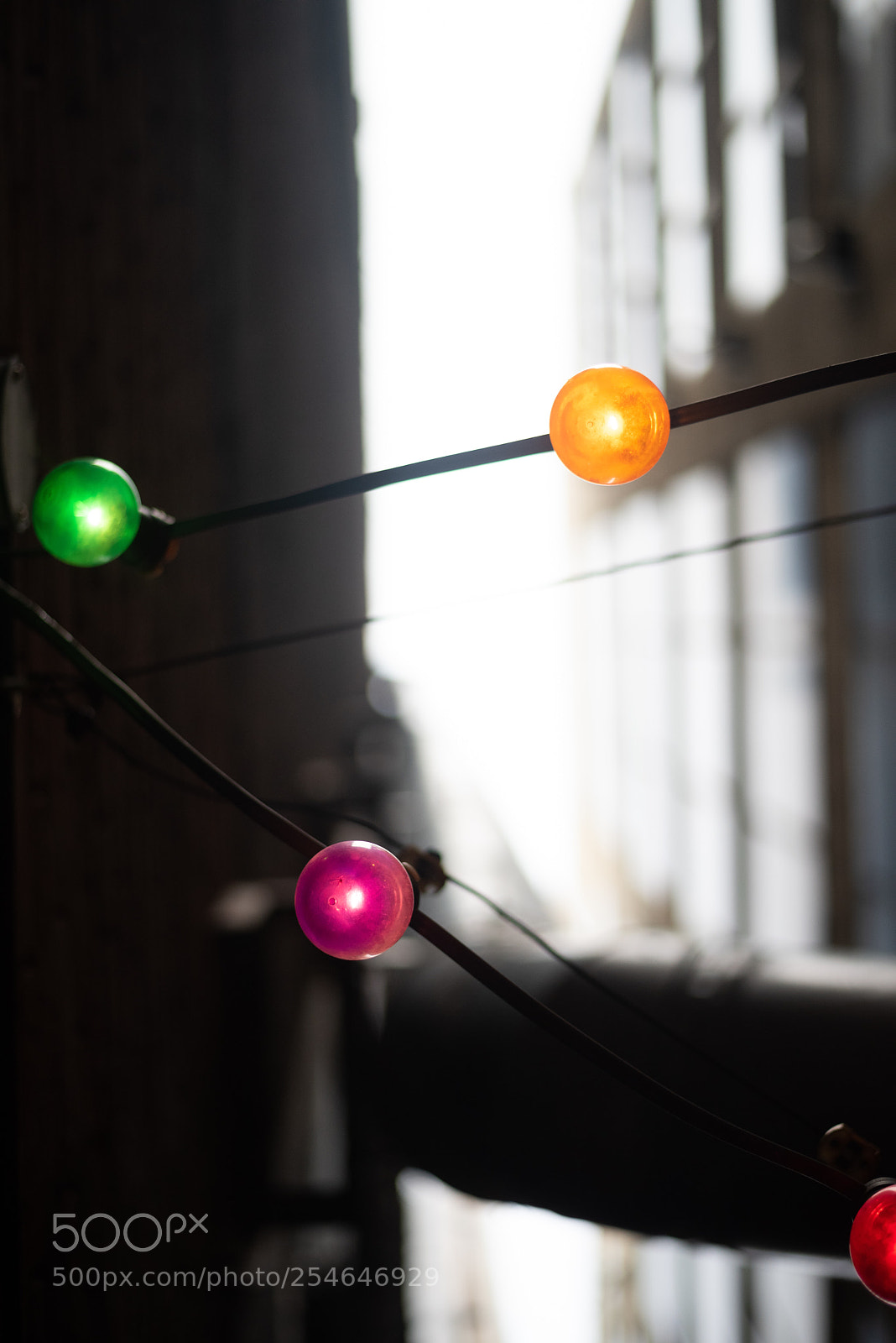 Nikon D810 sample photo. Lights photography