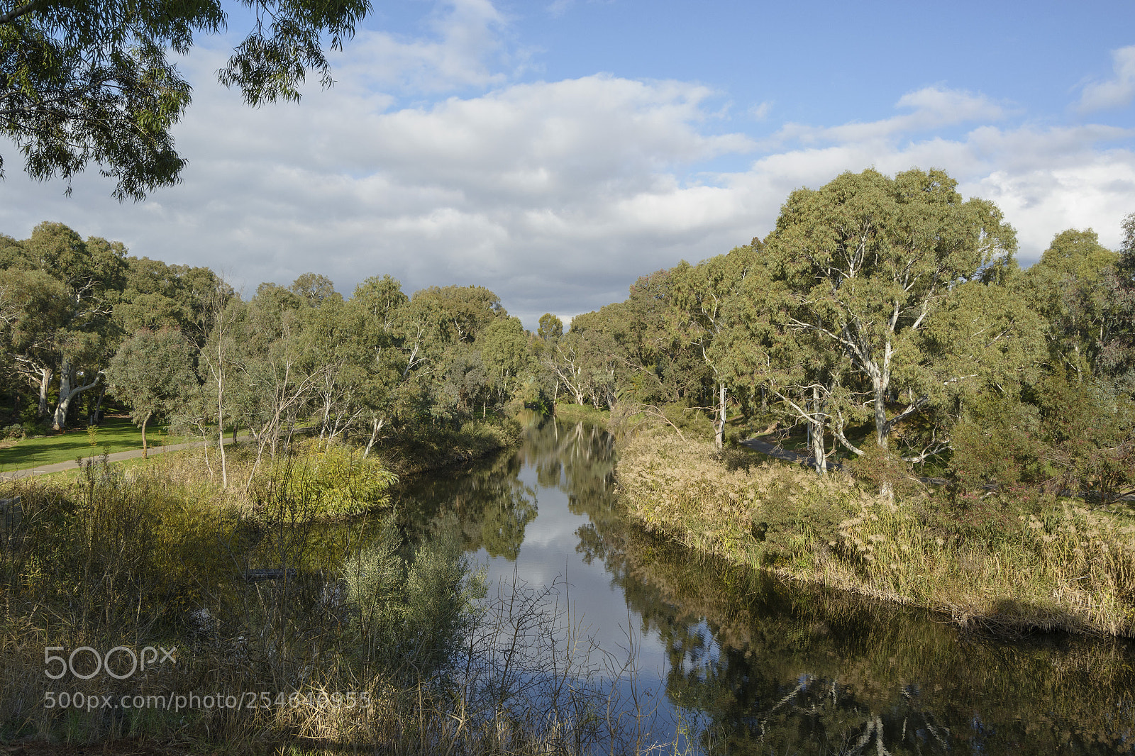 Nikon D7100 sample photo. Reflections along the river photography