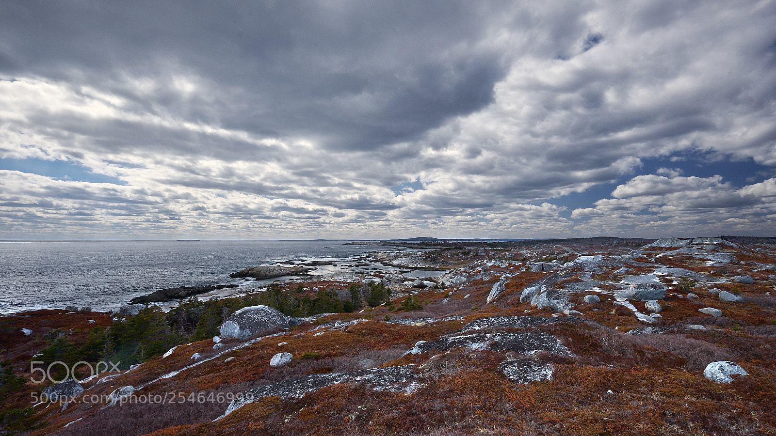 Fujifilm X-T2 sample photo. Polly's cove #2 photography