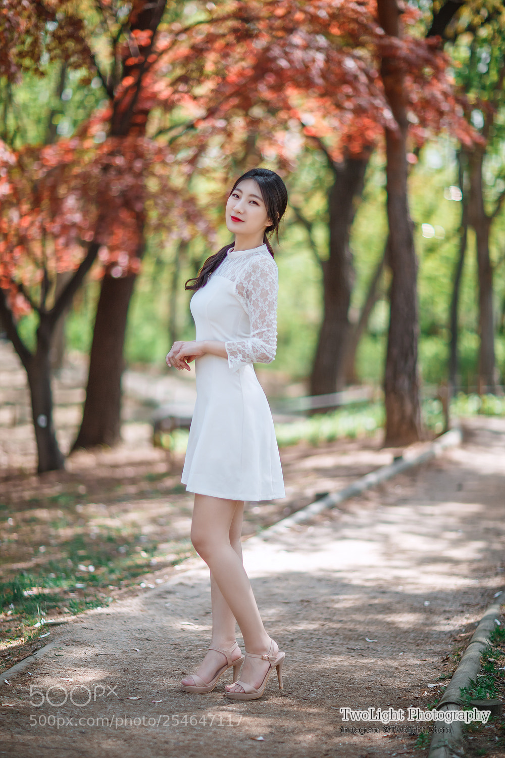 Canon EOS-1D X sample photo. 평일 봄날에 photography
