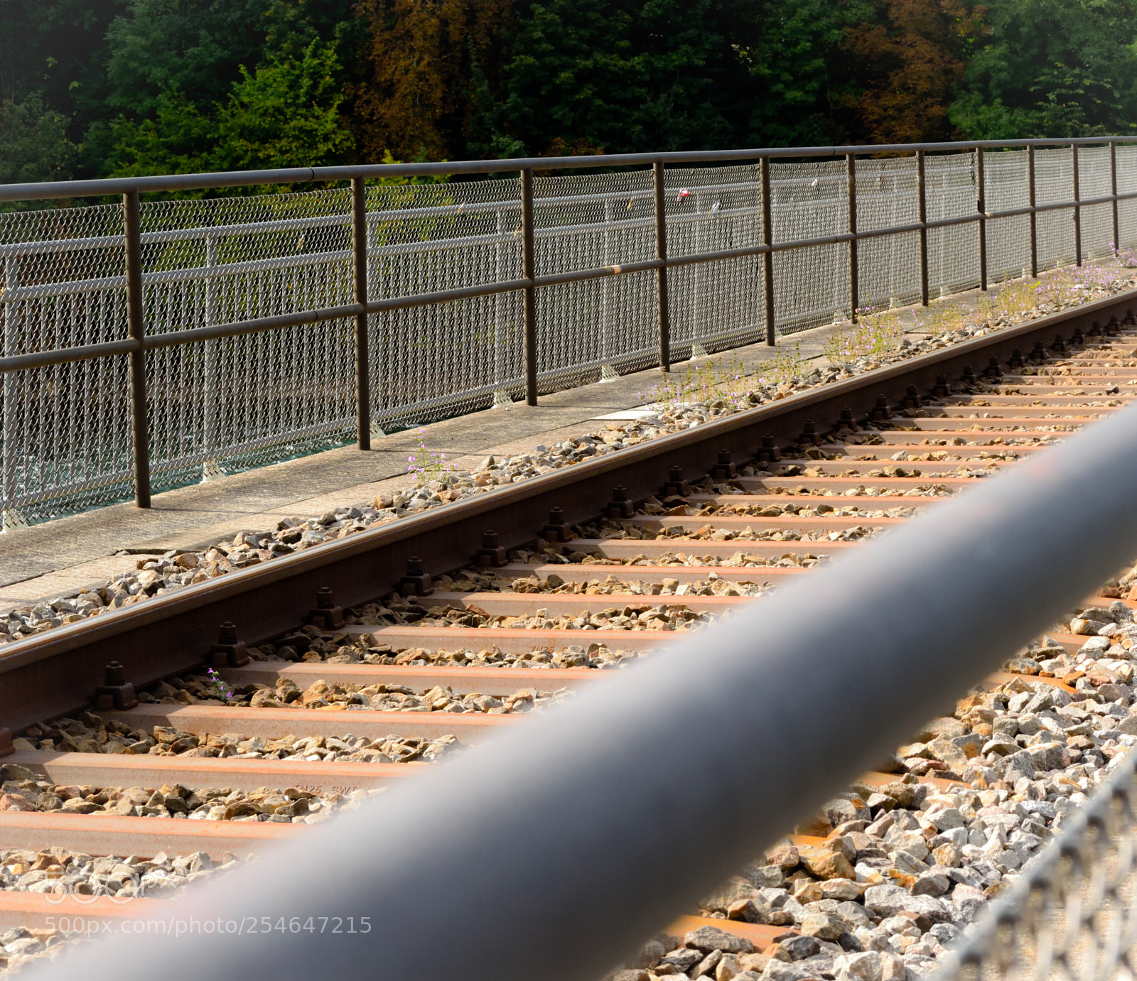 Nikon D3300 sample photo. Train tracks photography
