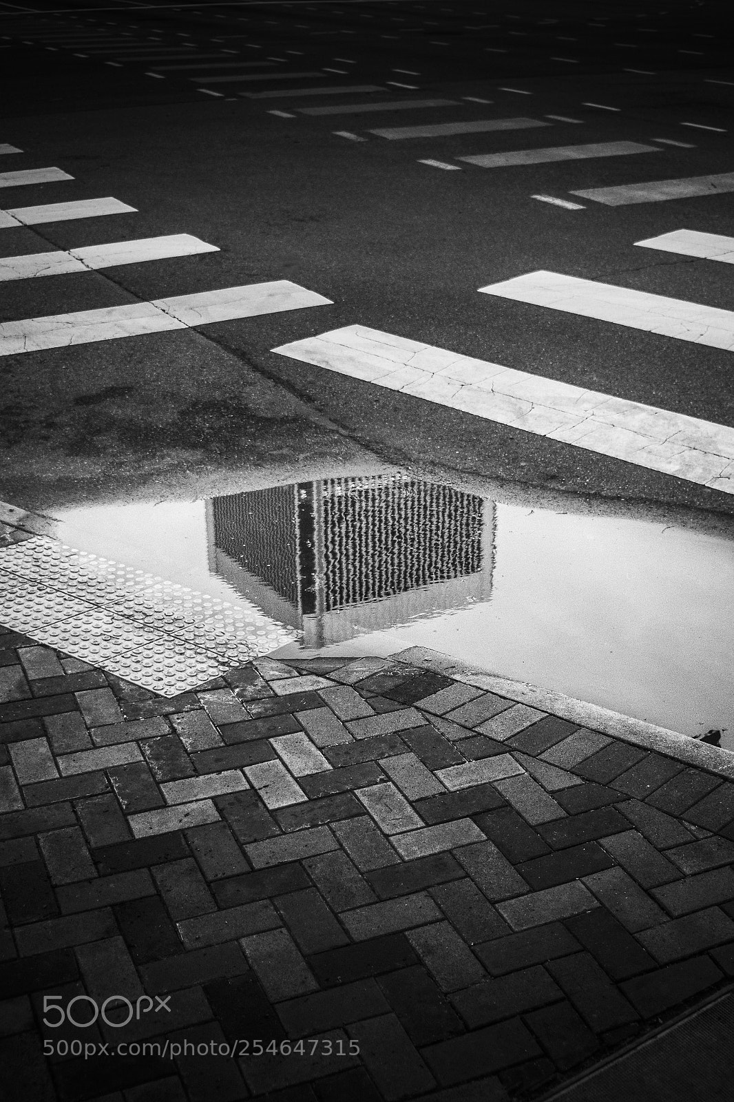 Fujifilm X-E2 sample photo. Reflect photography