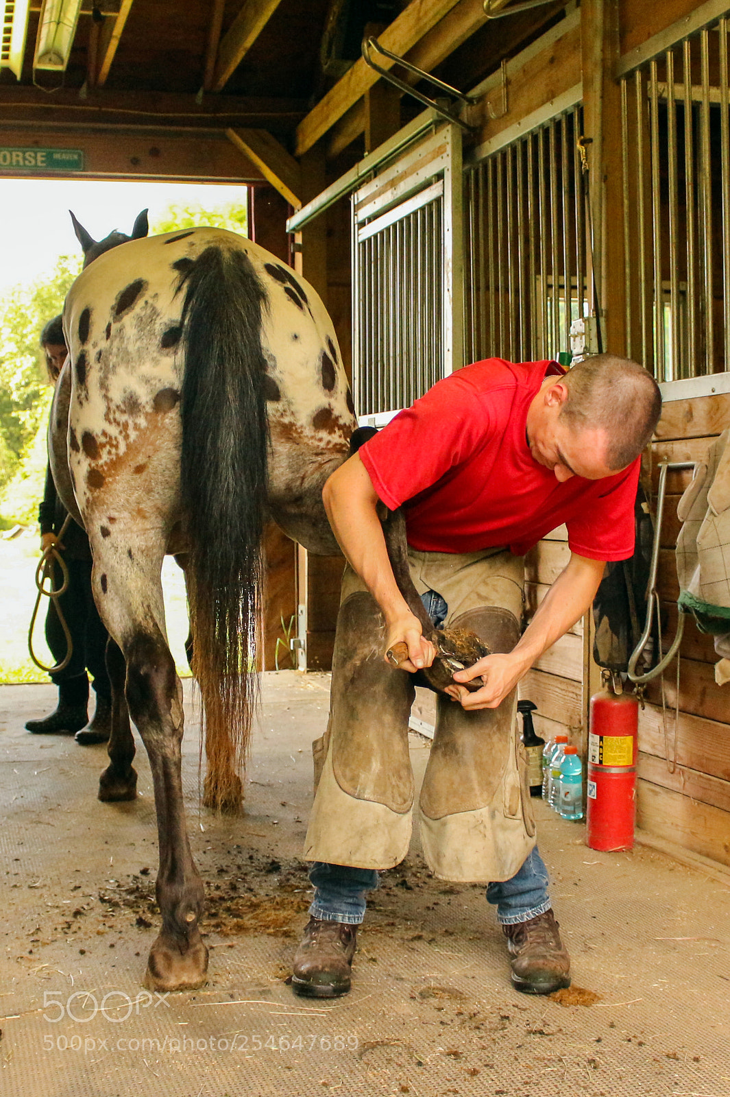 Canon EOS 700D (EOS Rebel T5i / EOS Kiss X7i) sample photo. Farrier in red photography