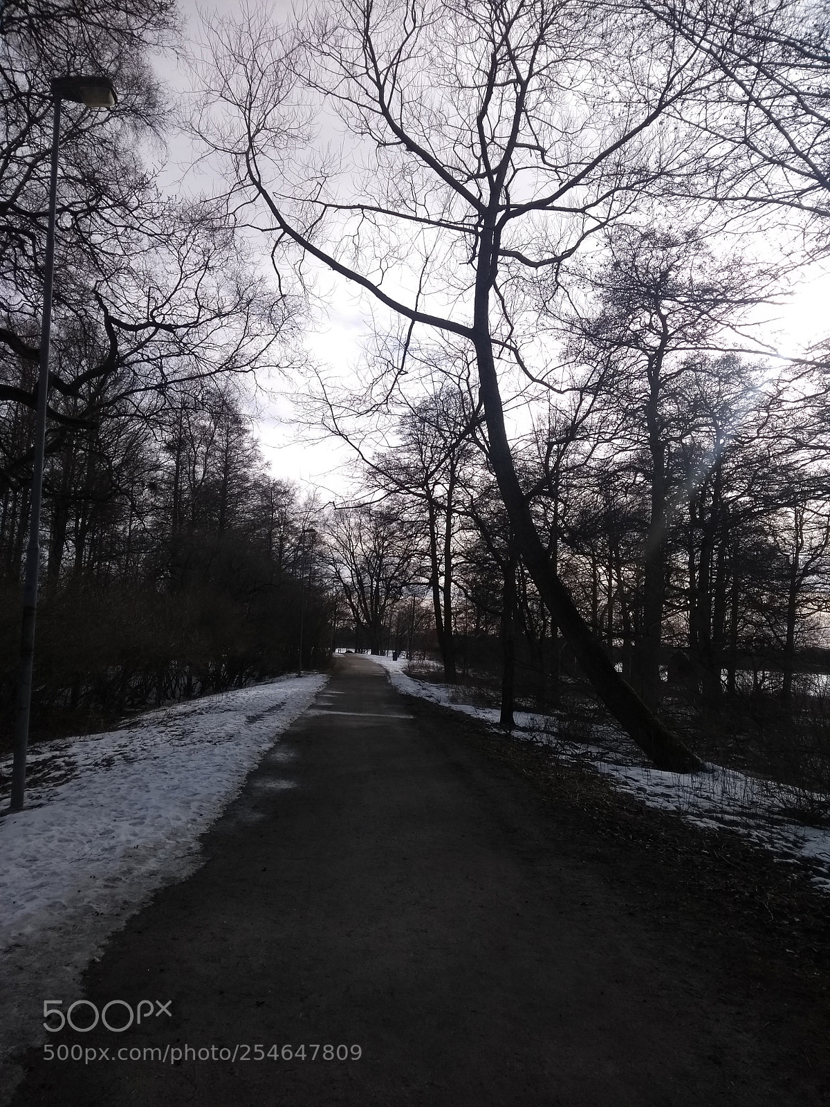 Motorola Moto G (5th Gen) sample photo. Växjö photography