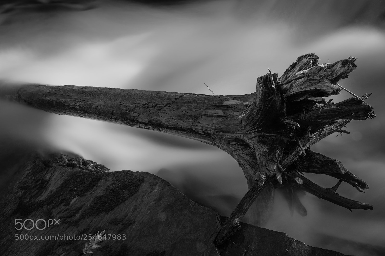 Fujifilm X-H1 sample photo. Royal river photography