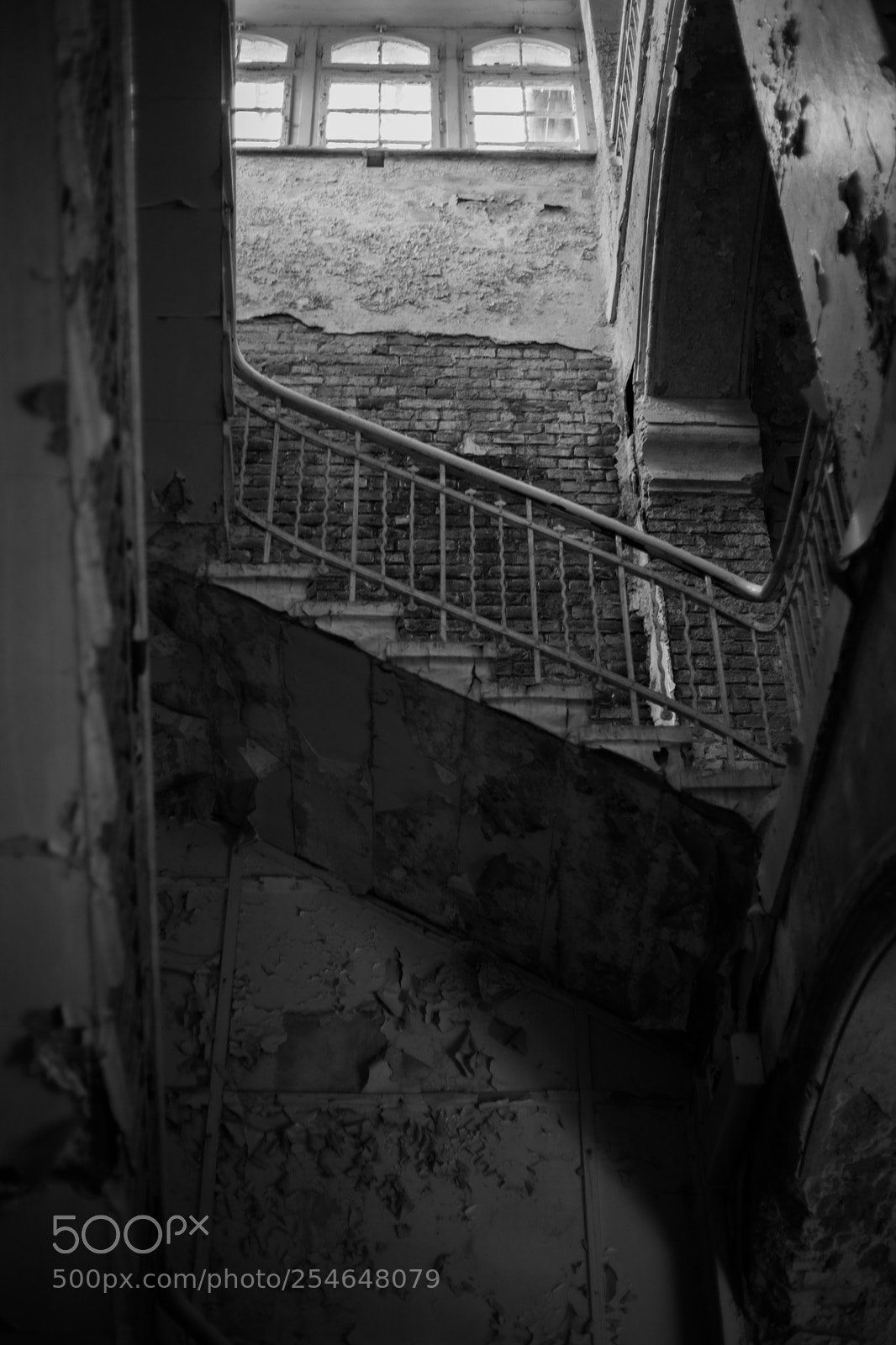 Canon EOS 6D Mark II sample photo. Untitled photography
