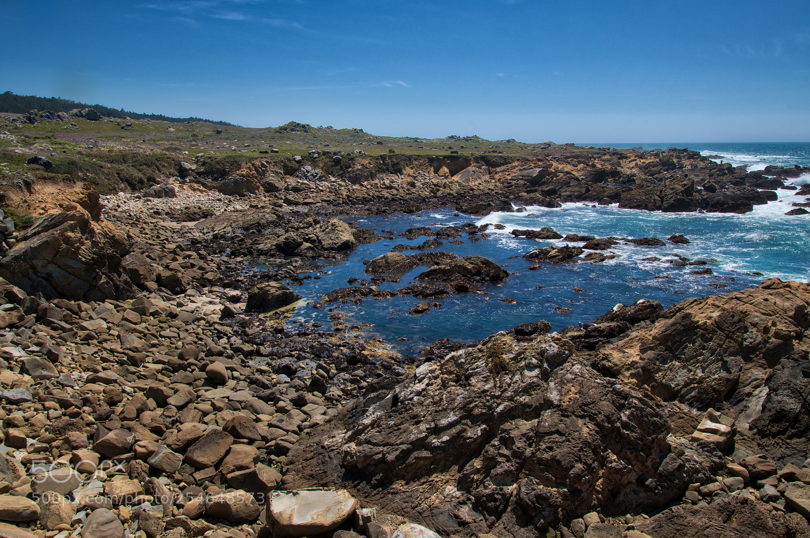 Nikon D850 sample photo. Salt point state park photography