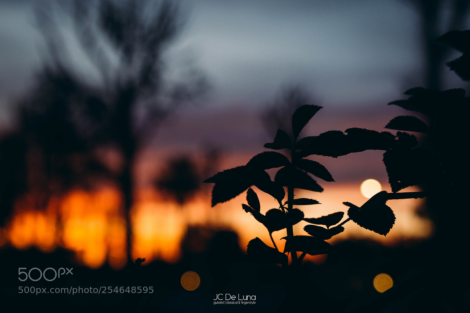 Canon EOS 70D sample photo. Beautiful sunset los angeles photography