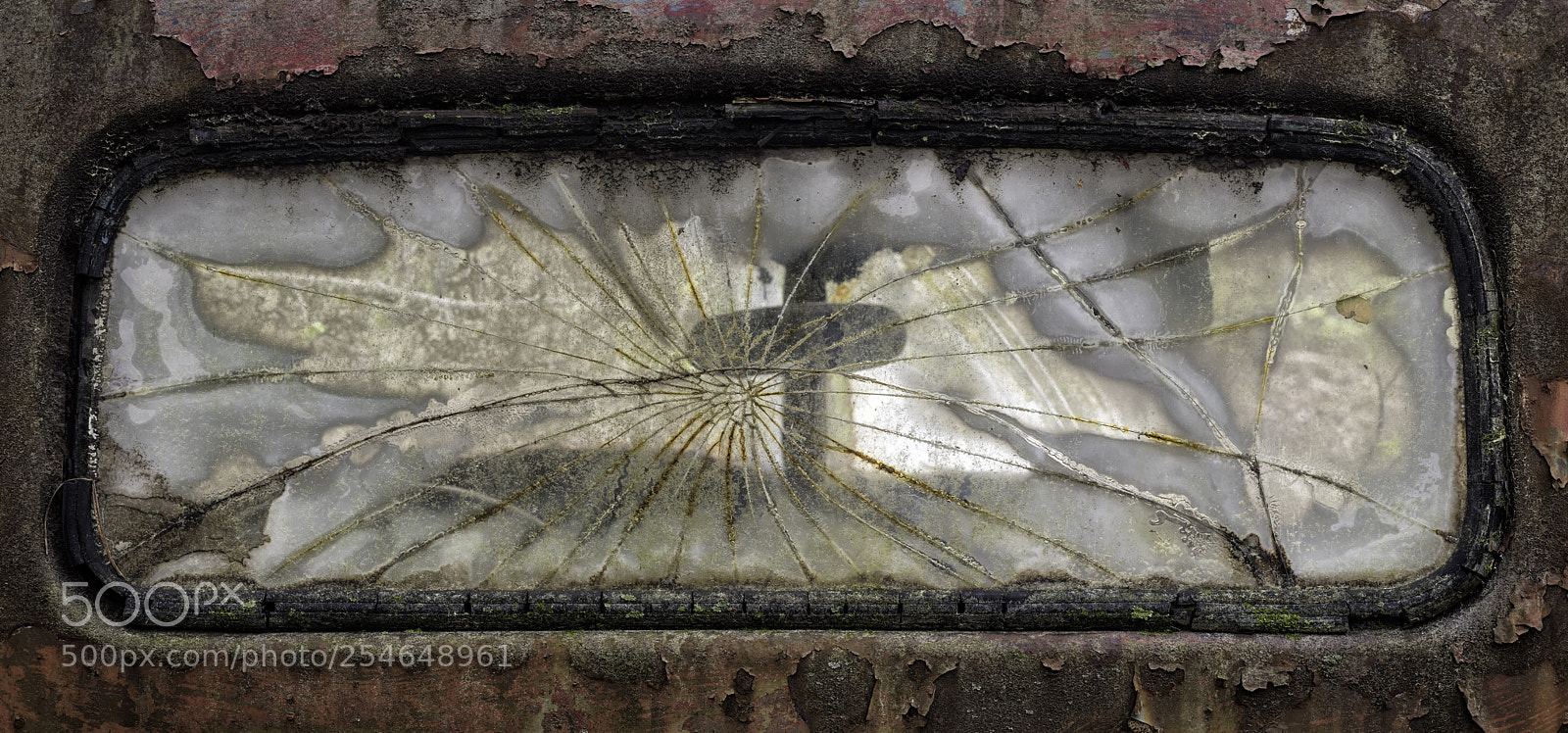 Nikon D850 sample photo. A rear view... photography