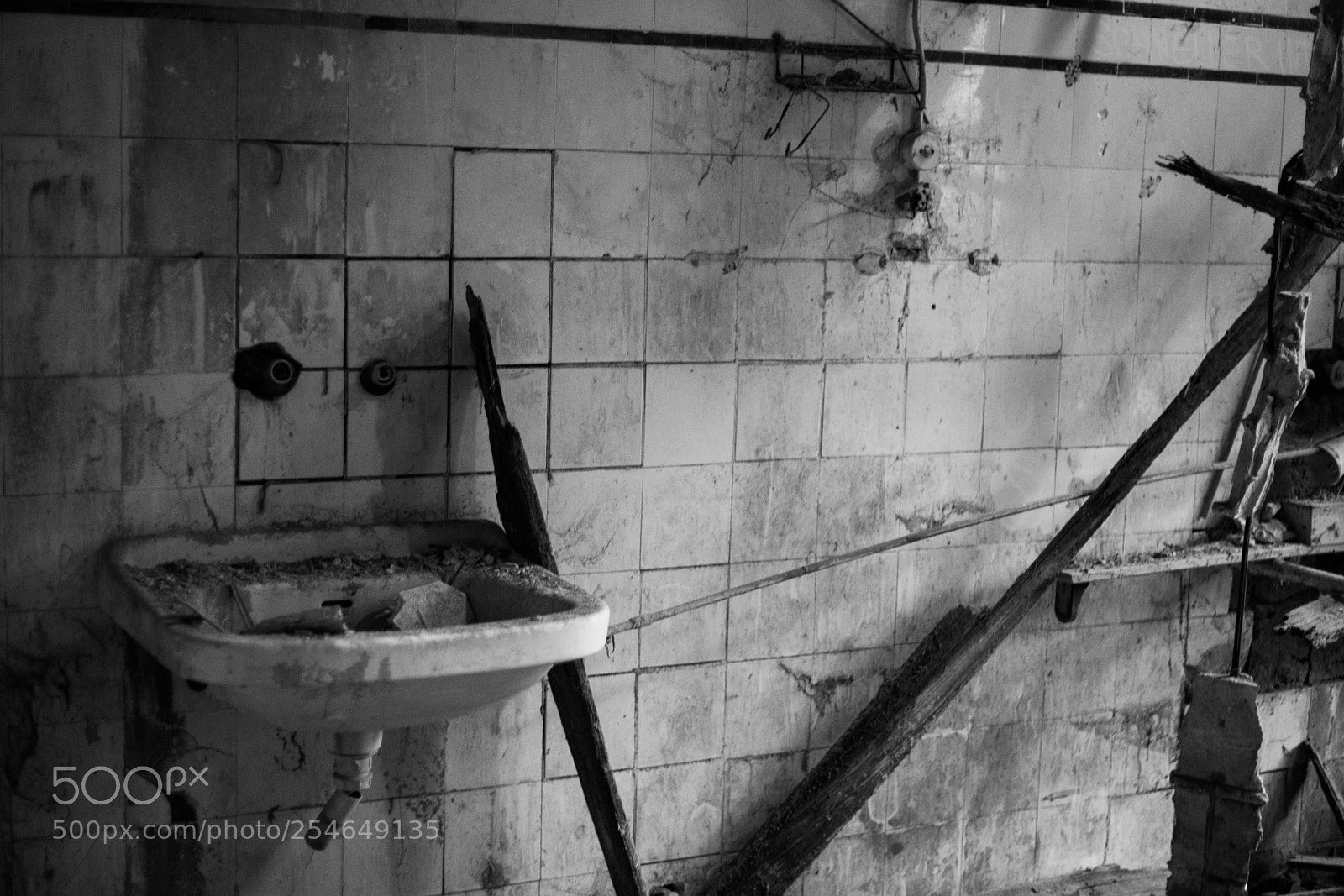 Canon EOS 6D Mark II sample photo. Untitled photography