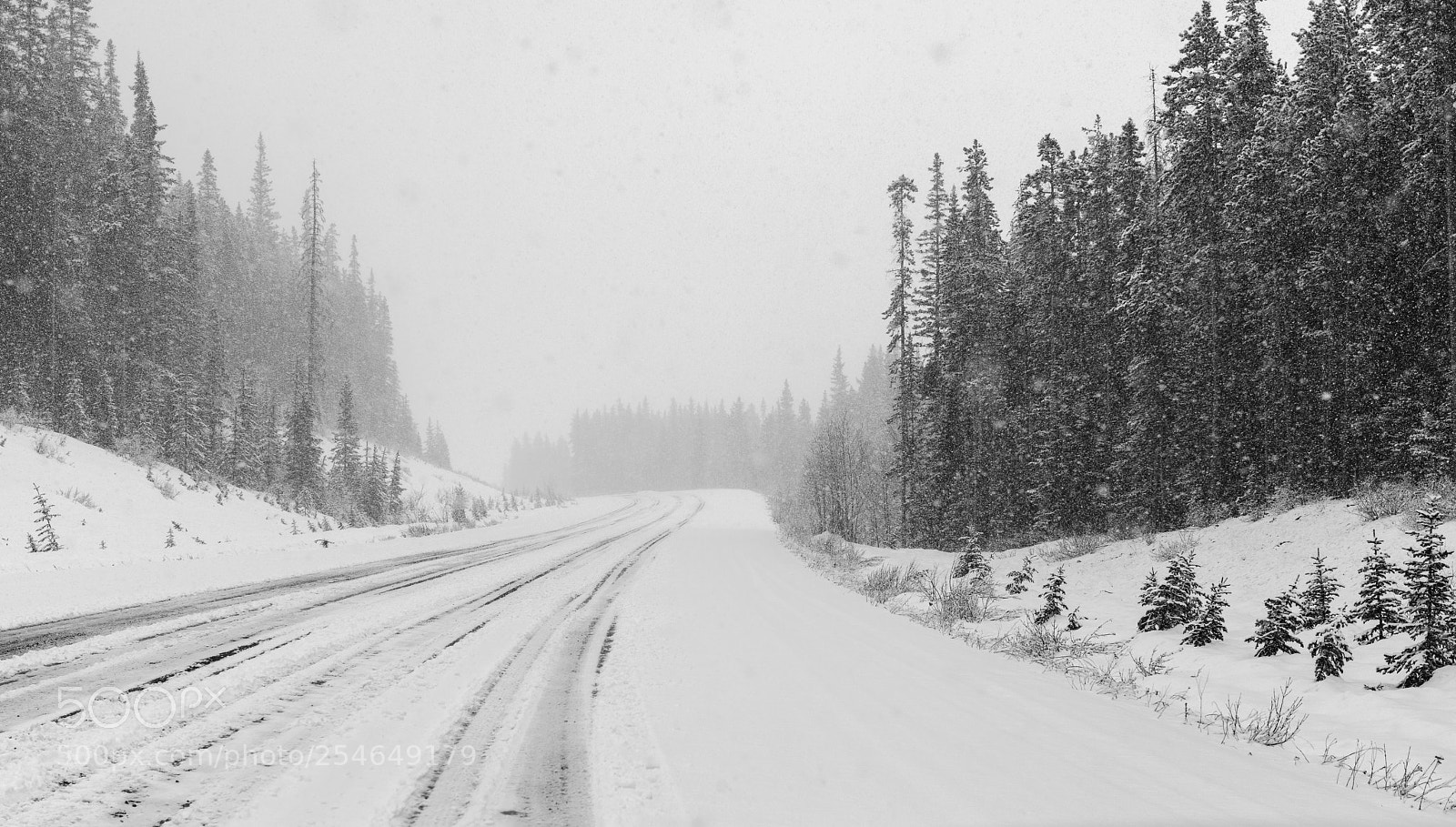 Nikon D800 sample photo. April  in the mountains photography