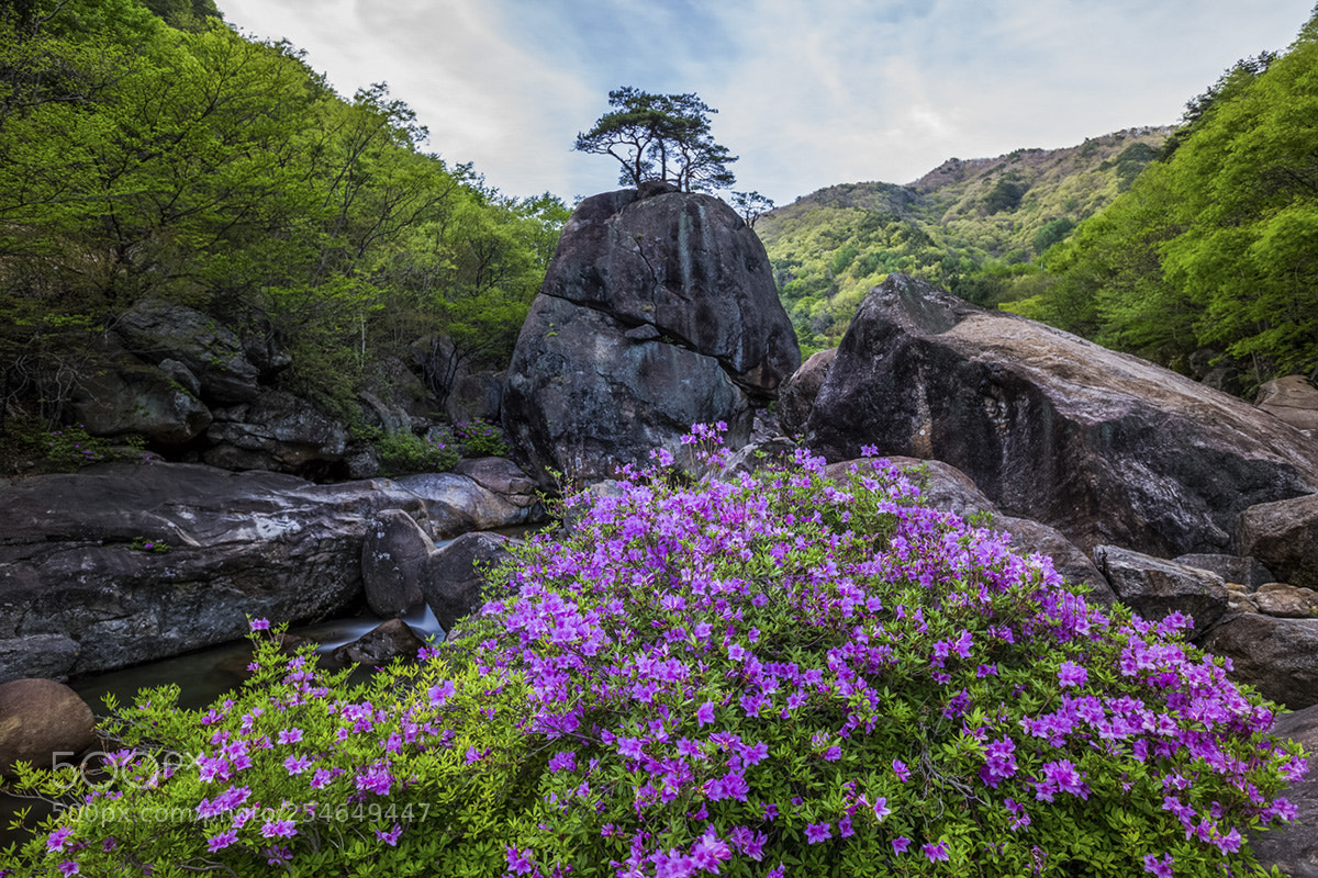Canon EOS-1D X sample photo. Meditation rock photography