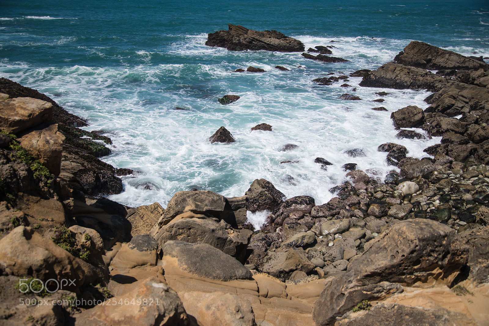 Nikon D850 sample photo. Salt point state park photography