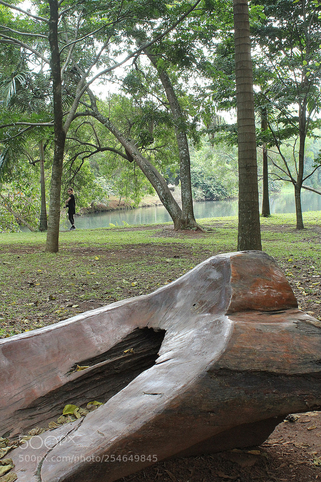 Canon EF 28-80mm f/3.5-5.6 sample photo. Ibirapuera park photography