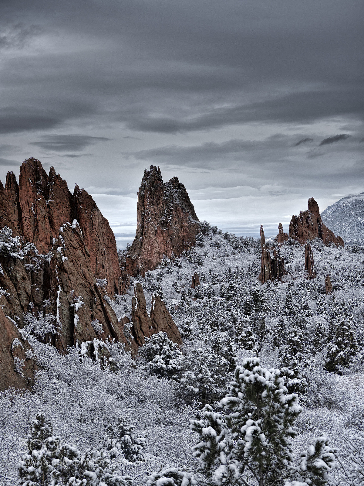 Olympus OM-D E-M1 Mark II sample photo. Garden of the gods photography