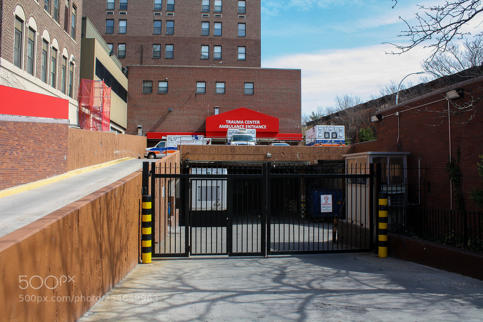 Canon EOS 1000D (EOS Digital Rebel XS / EOS Kiss F) sample photo. Brooklyn, april 2018 photography