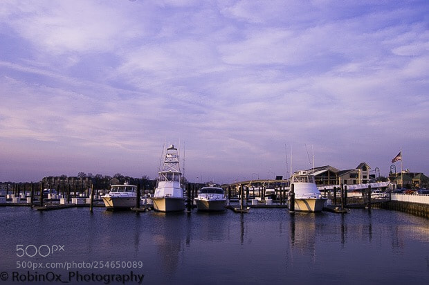 Nikon D40 sample photo. Belmar marina the calm photography