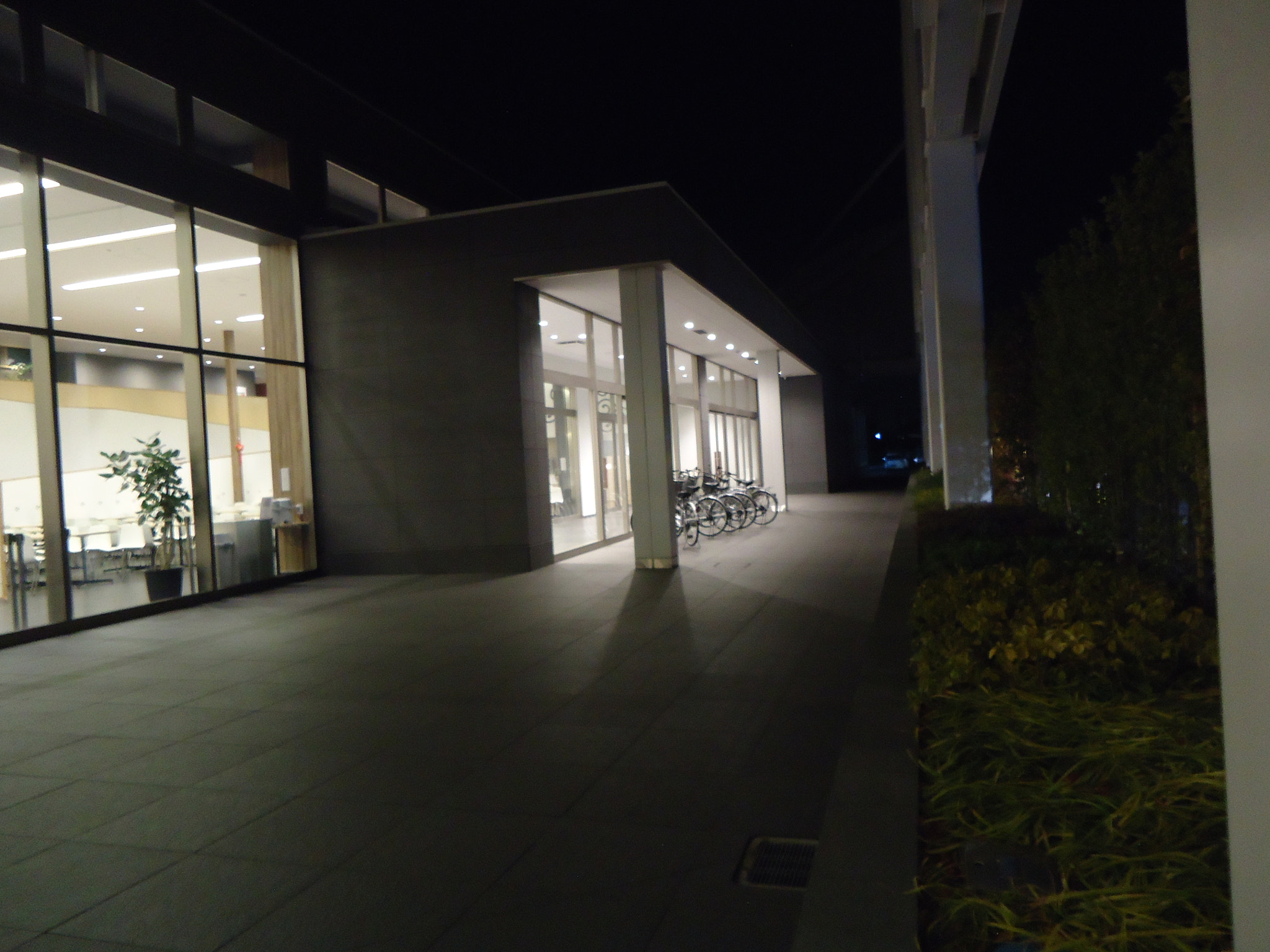 Sony Cyber-shot DSC-W610 sample photo. Dsc photography