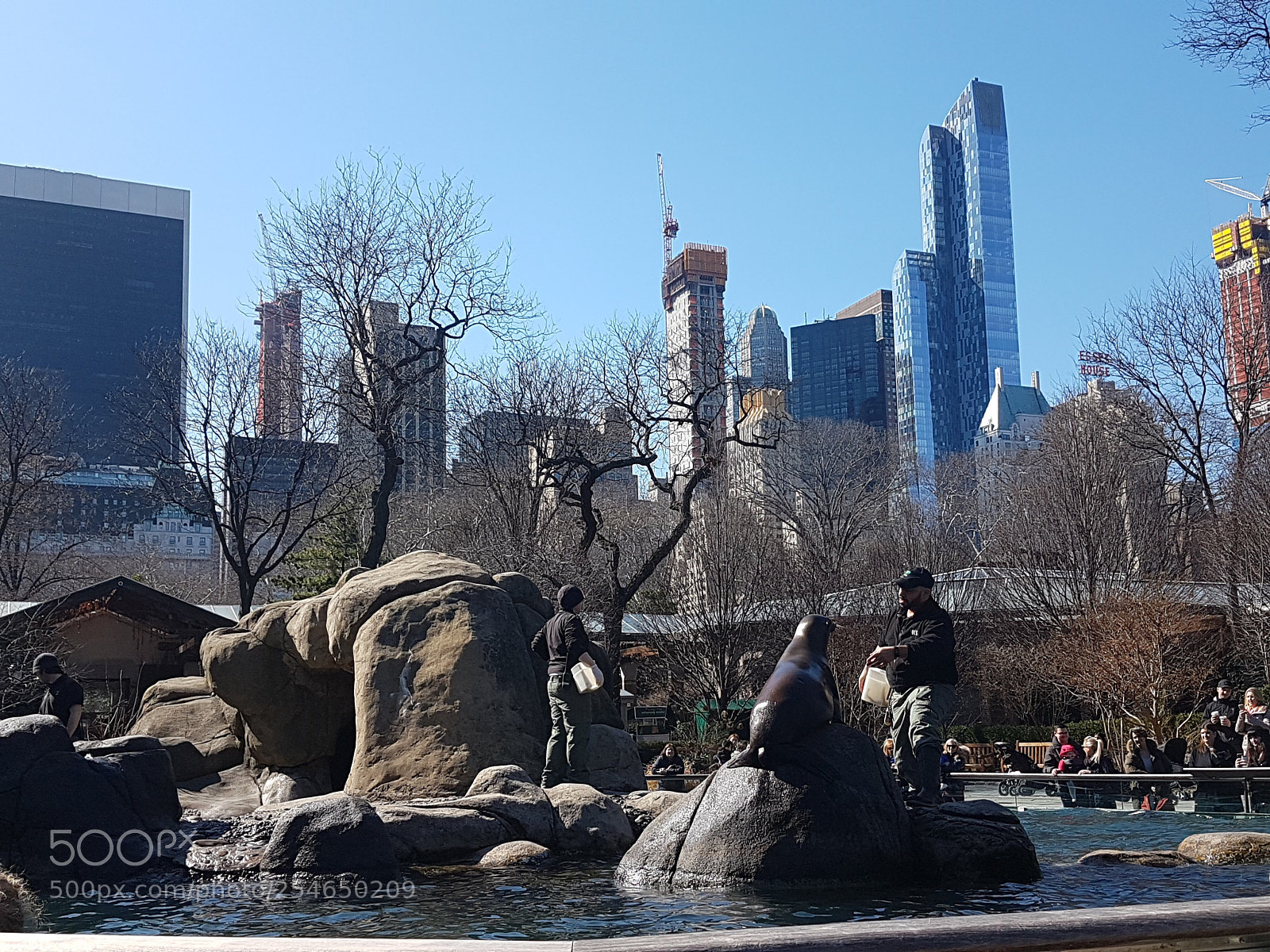 Samsung Galaxy S7 Edge sample photo. Zoo new york photography