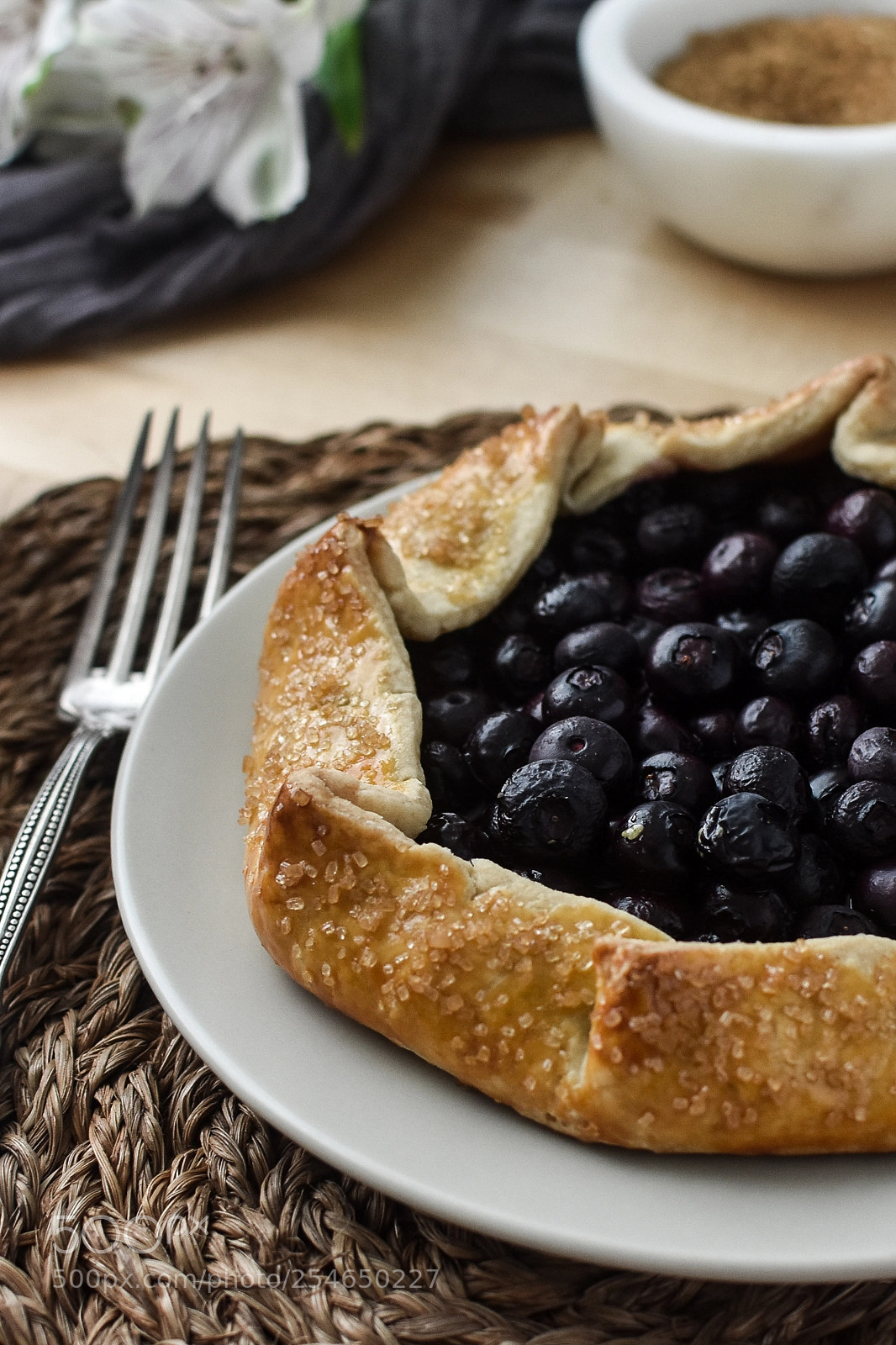 Nikon D3400 sample photo. Blueberry galette by aline photography