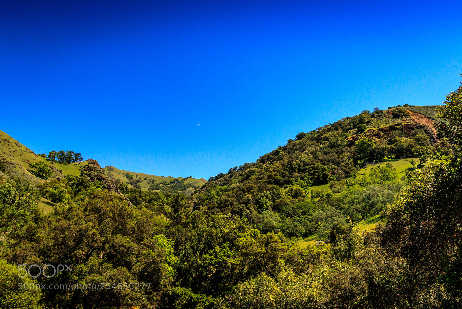 Canon EOS 80D sample photo. Ohlone trail photography