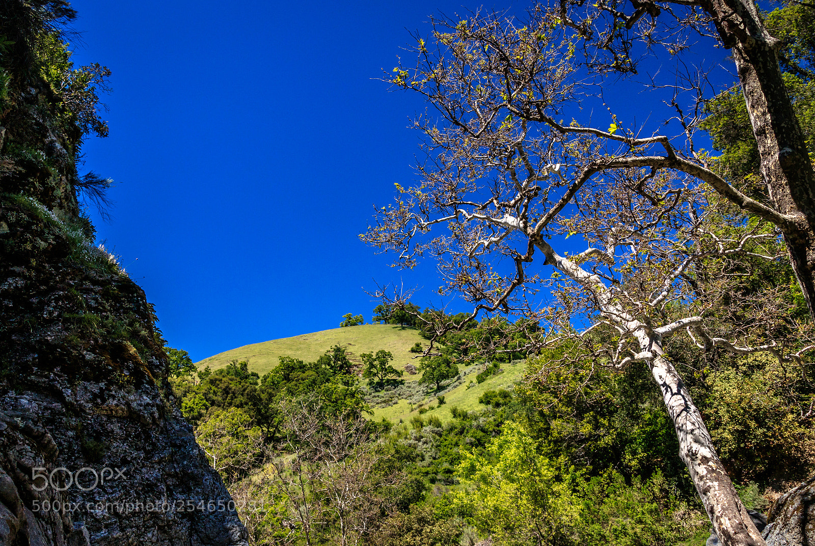 Canon EOS 80D sample photo. Little yosemite photography