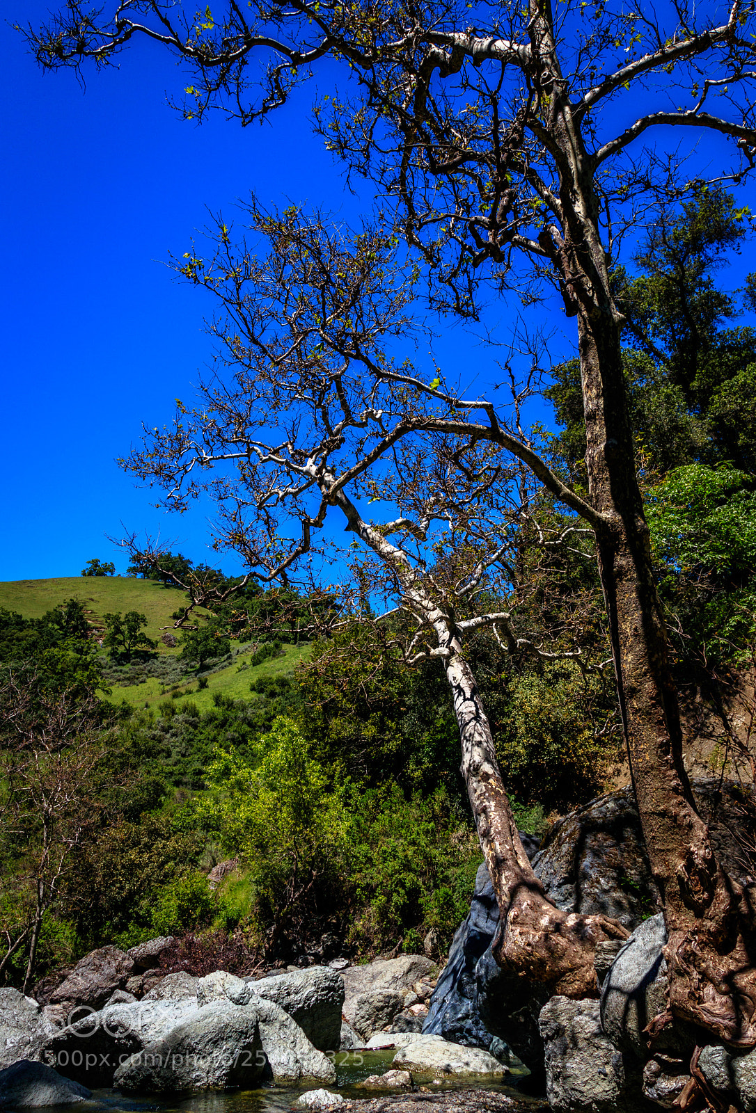 Canon EOS 80D sample photo. Little yosemite photography