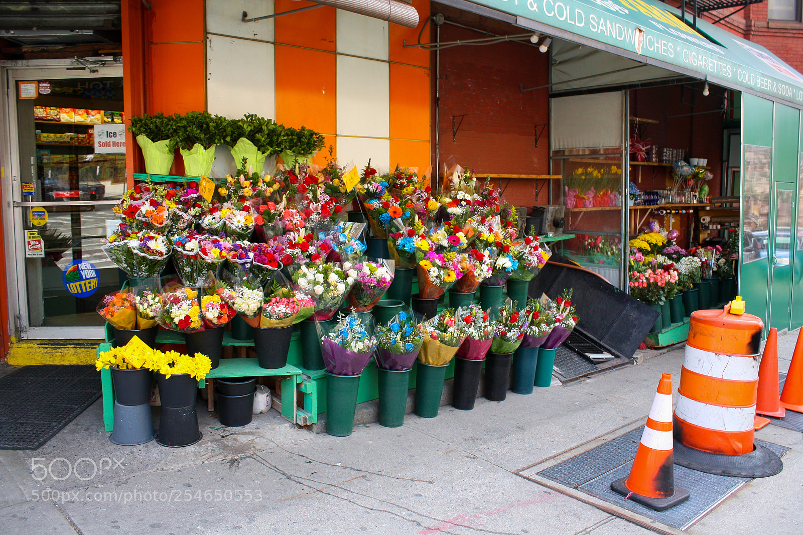 Canon EOS 1000D (EOS Digital Rebel XS / EOS Kiss F) sample photo. Brooklyn, april 2018 photography