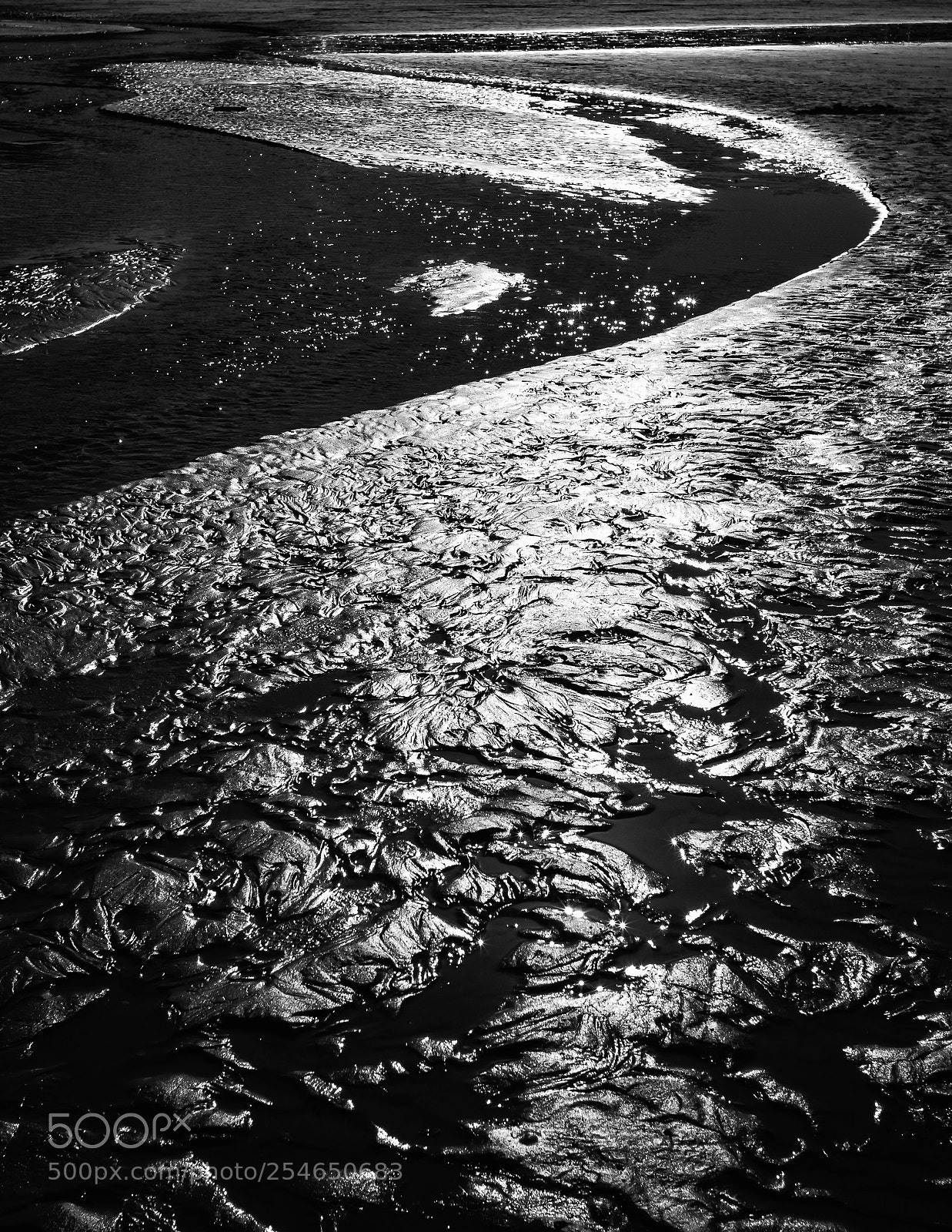 Leica M (Typ 240) sample photo. Silver photography