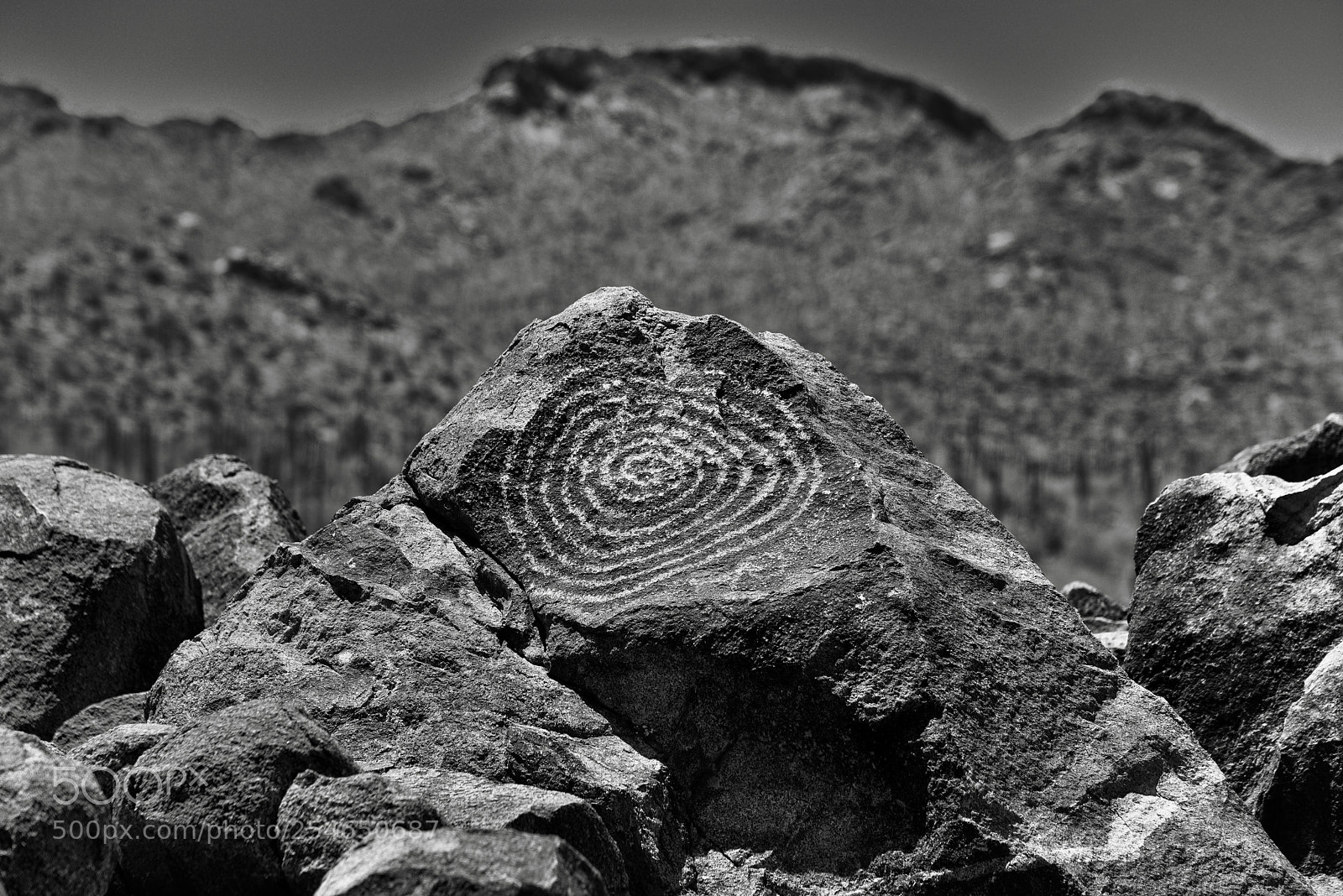 Nikon D800E sample photo. Spiral pattern of rock photography