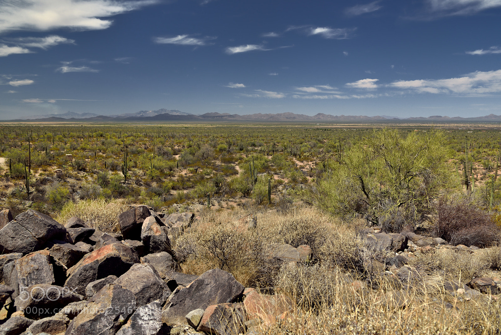 Nikon D800E sample photo. The long view across photography