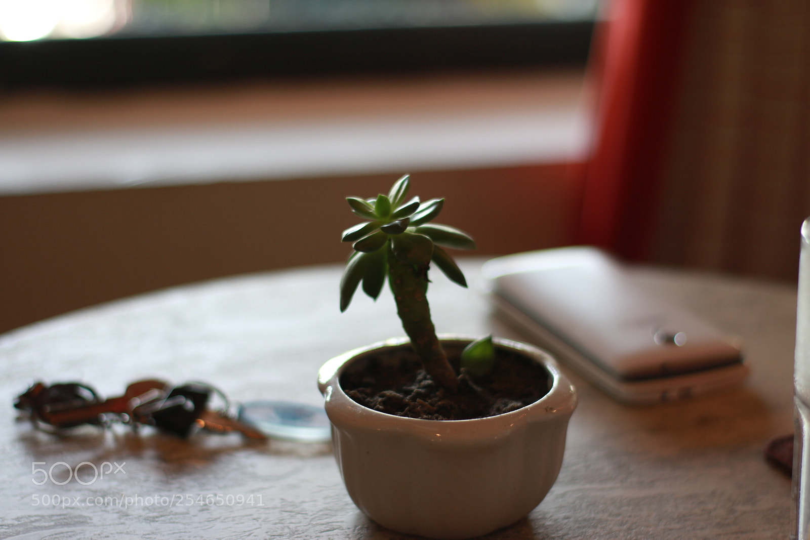 Canon EOS 70D sample photo. Untitled photography