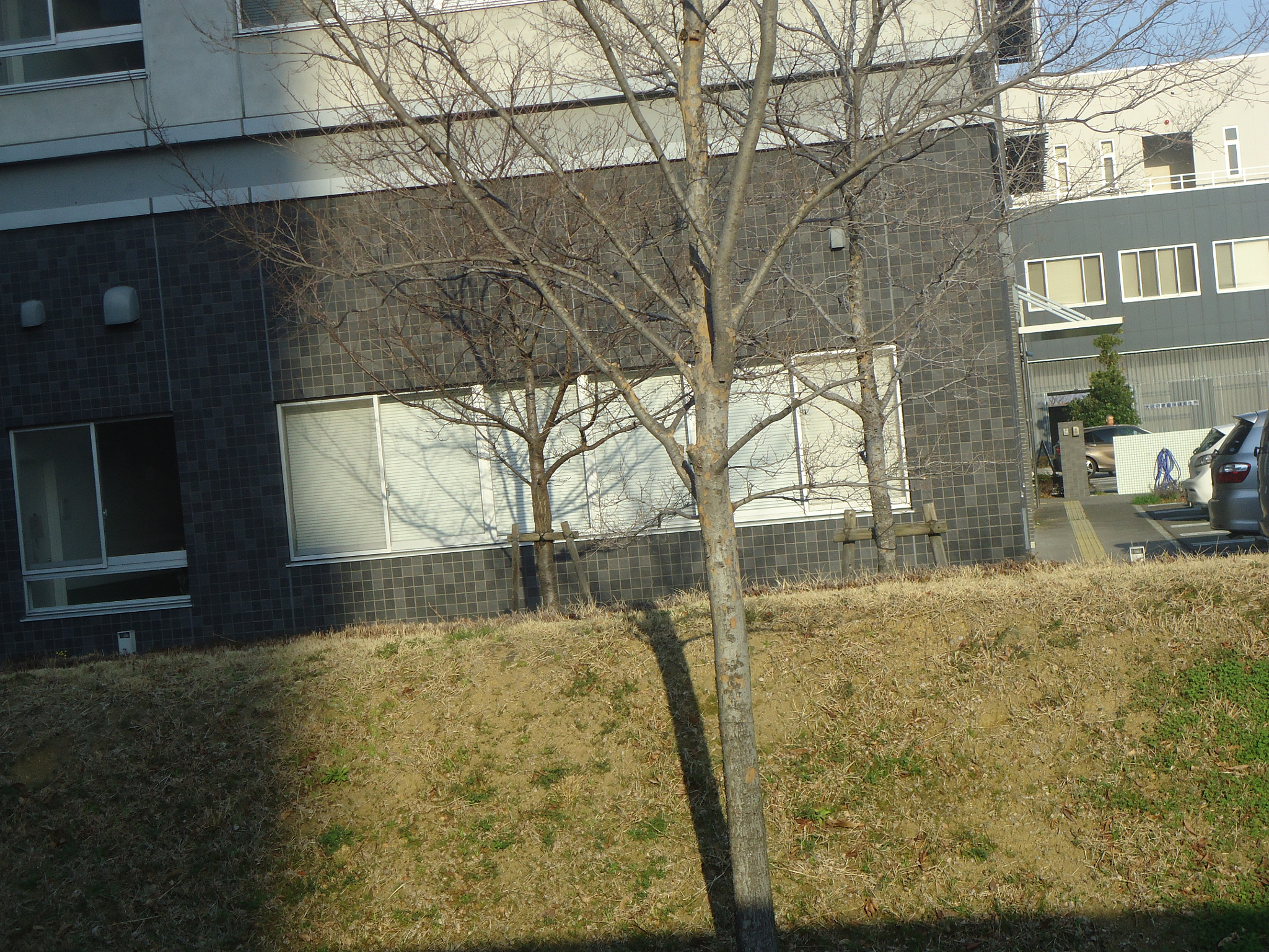 Sony Cyber-shot DSC-W610 sample photo. Dsc photography