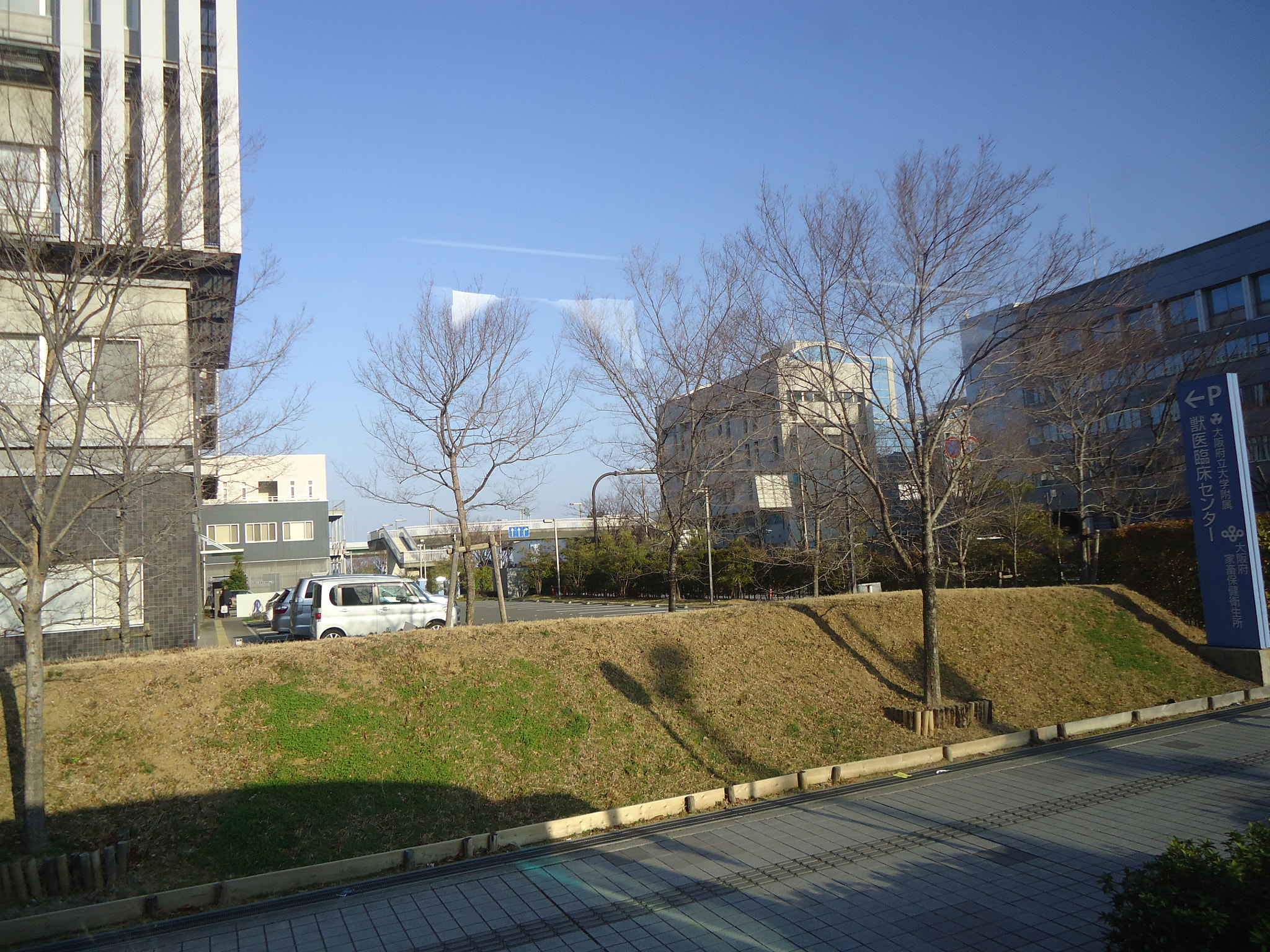 Sony Cyber-shot DSC-W610 sample photo. Dsc photography