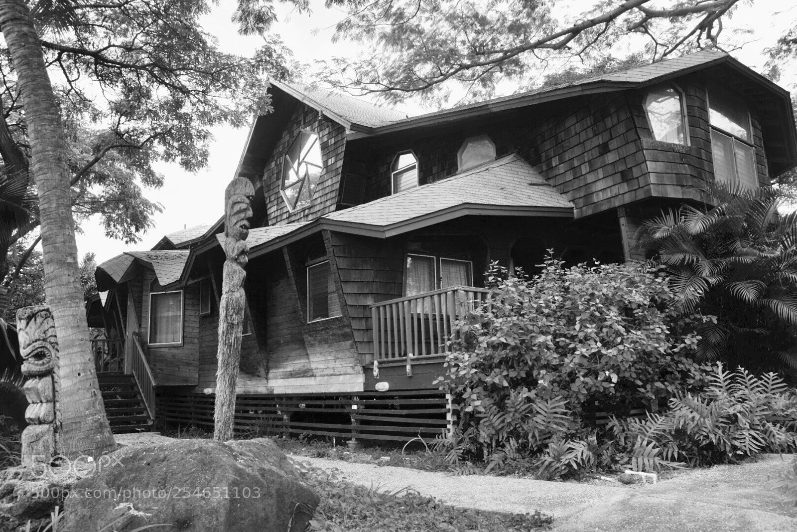 Nikon D5300 sample photo. Comical architecture  photography