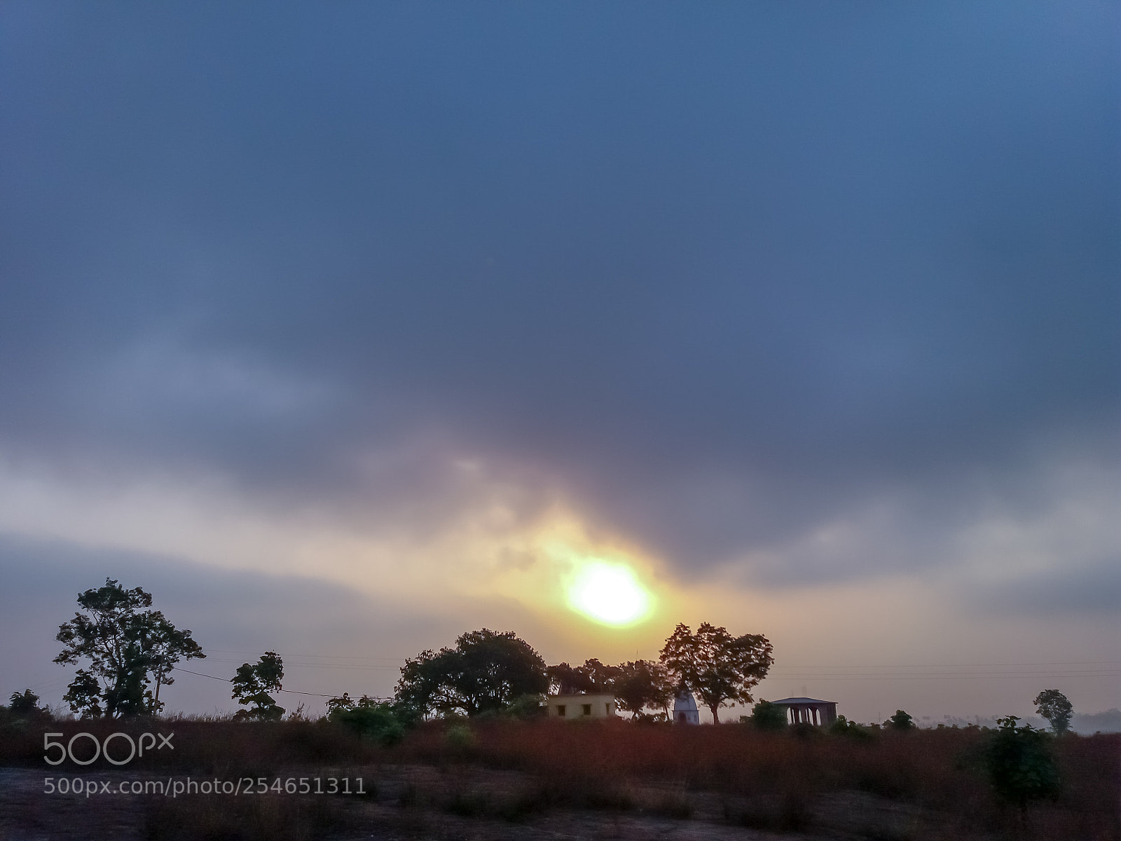Samsung Galaxy J5 sample photo. Sunrise in forest photography