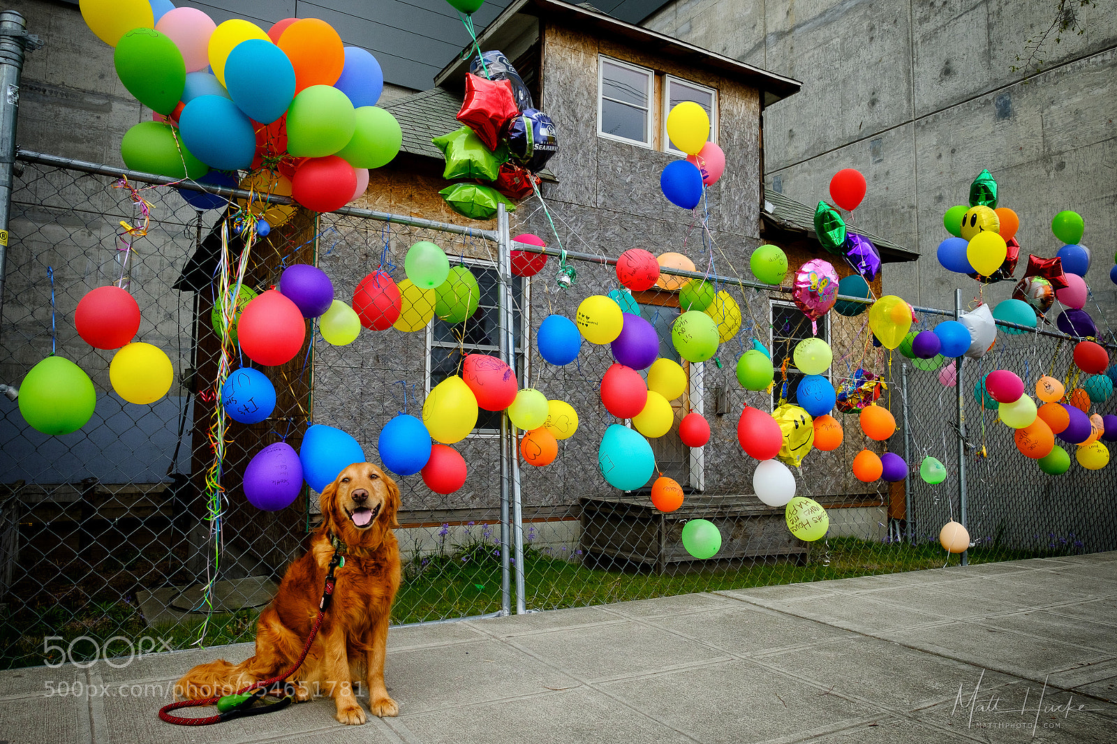 Fujifilm X-T20 sample photo. Ballard "up" house photography