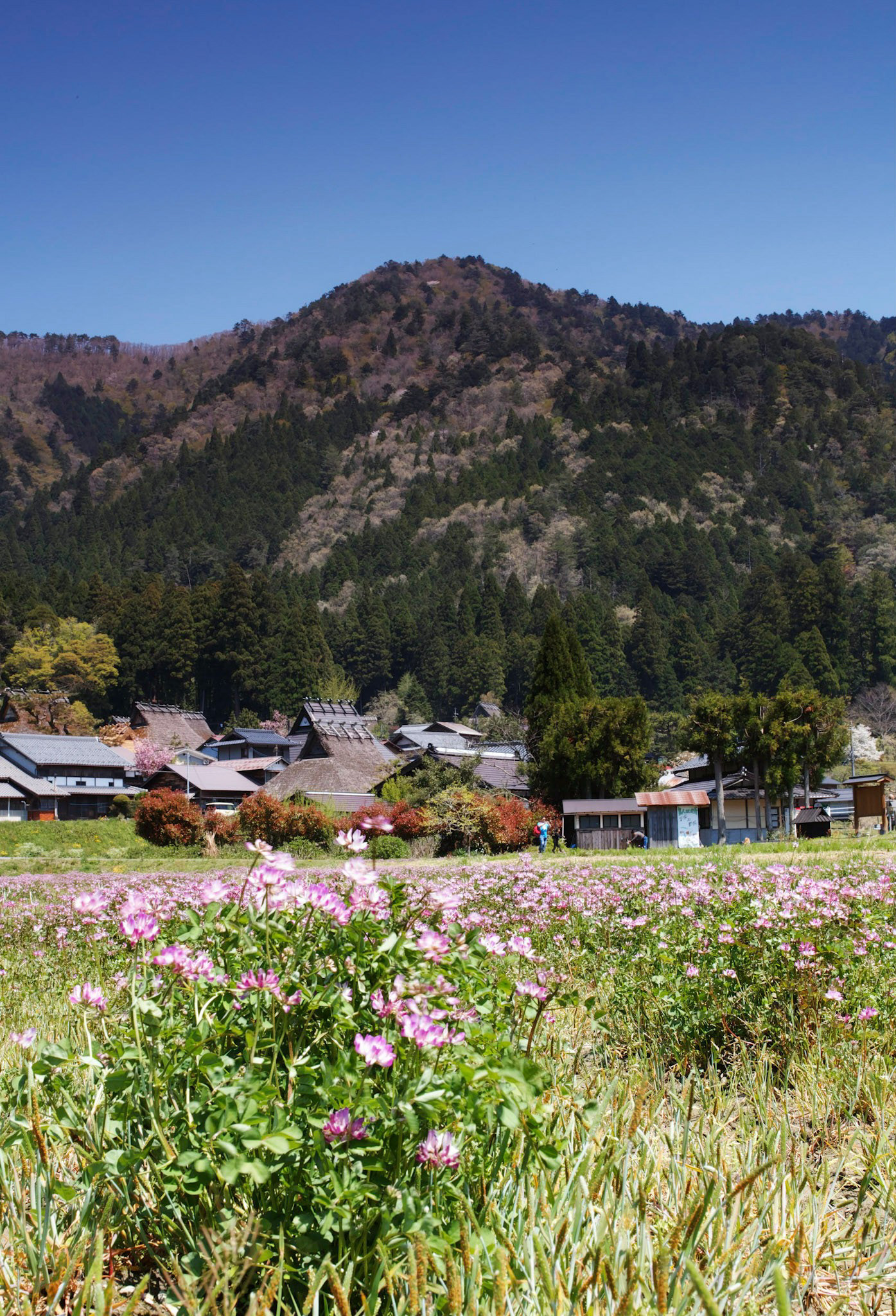 Sigma sd Quattro H sample photo. 33 photography